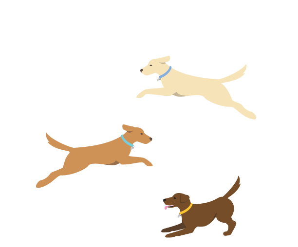 Untitled-3-02.png