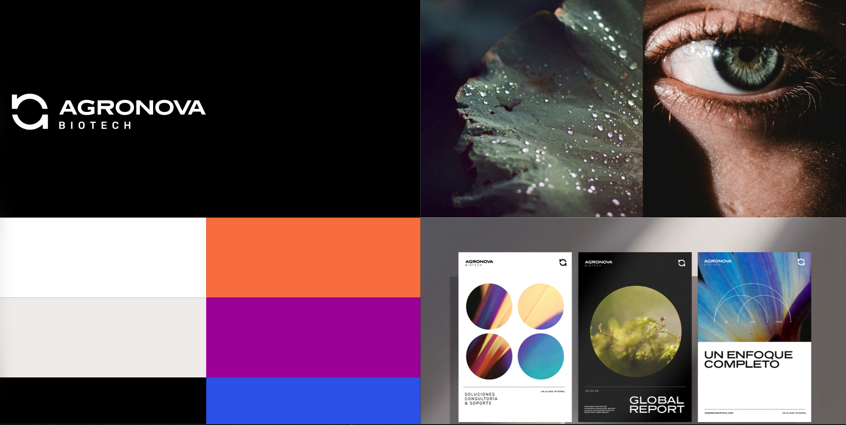 Captura de pantalla 2025-11-13 a la(s) 11.50.17 a. m..png