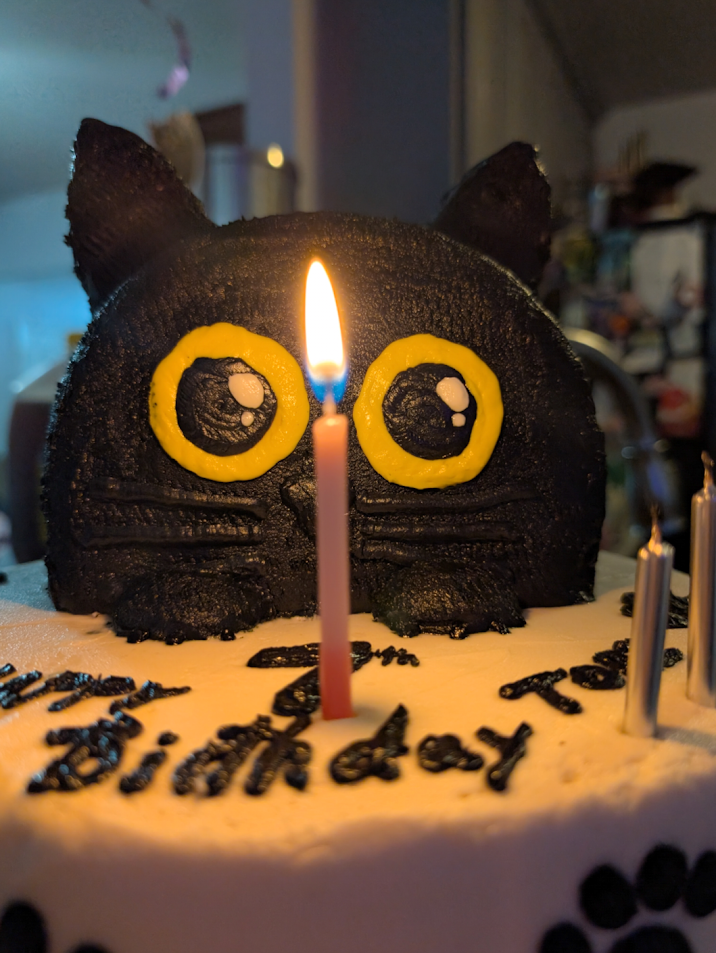 cat cake.png
