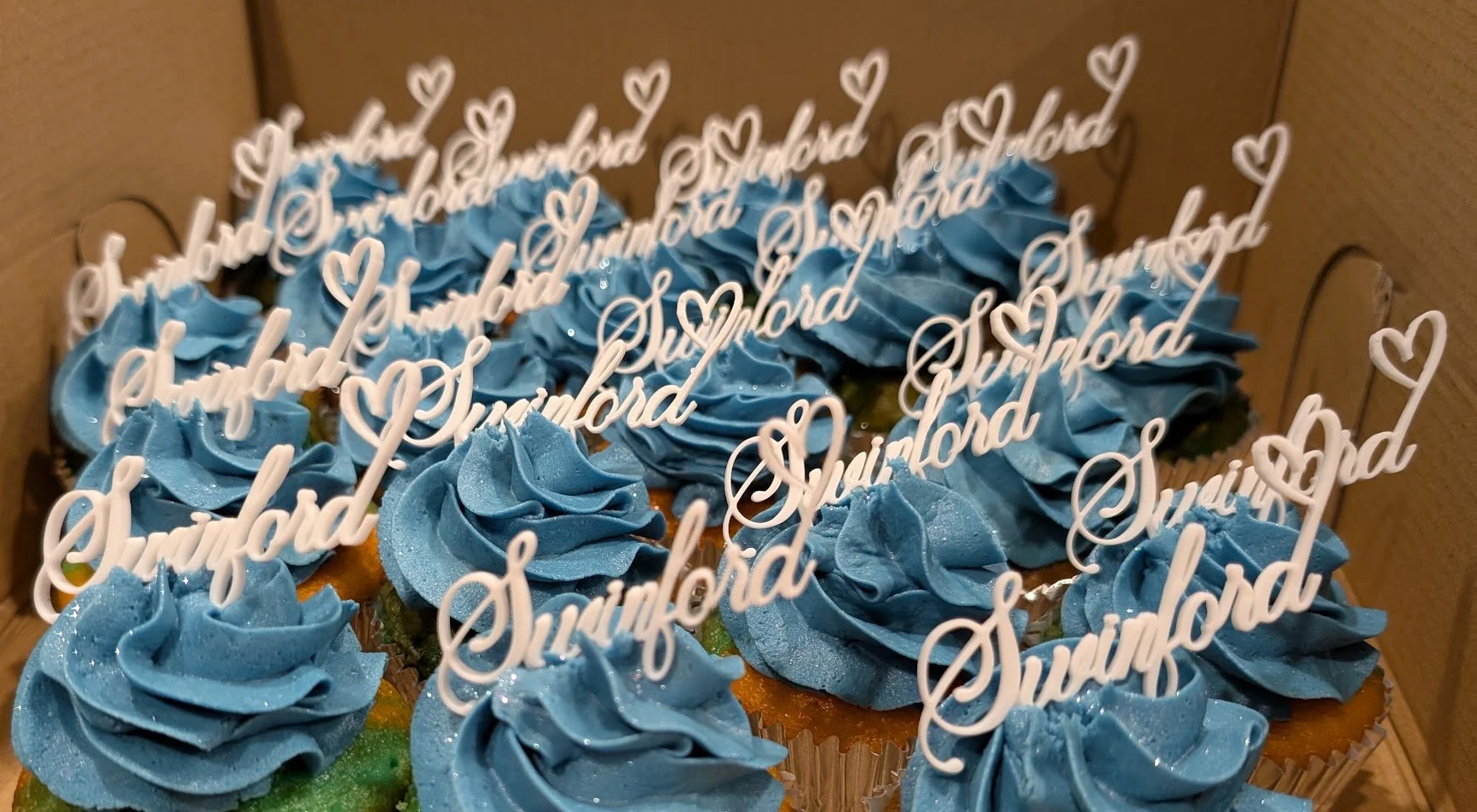 swinford cupcakes.jpg