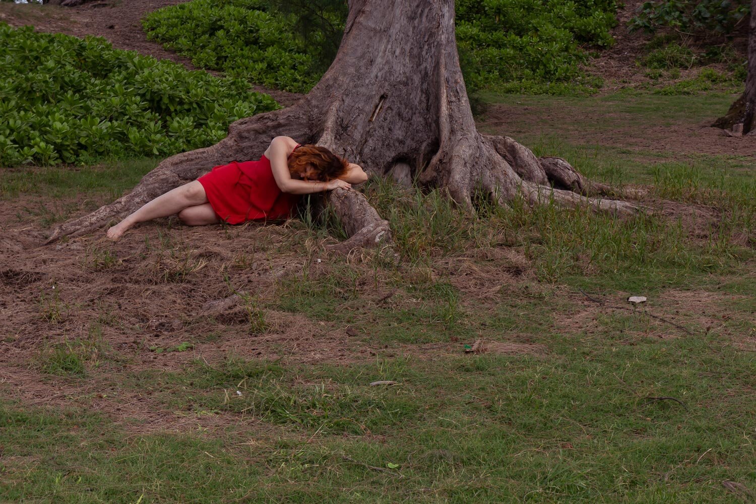  erin laying on twited tree roots in red dress 