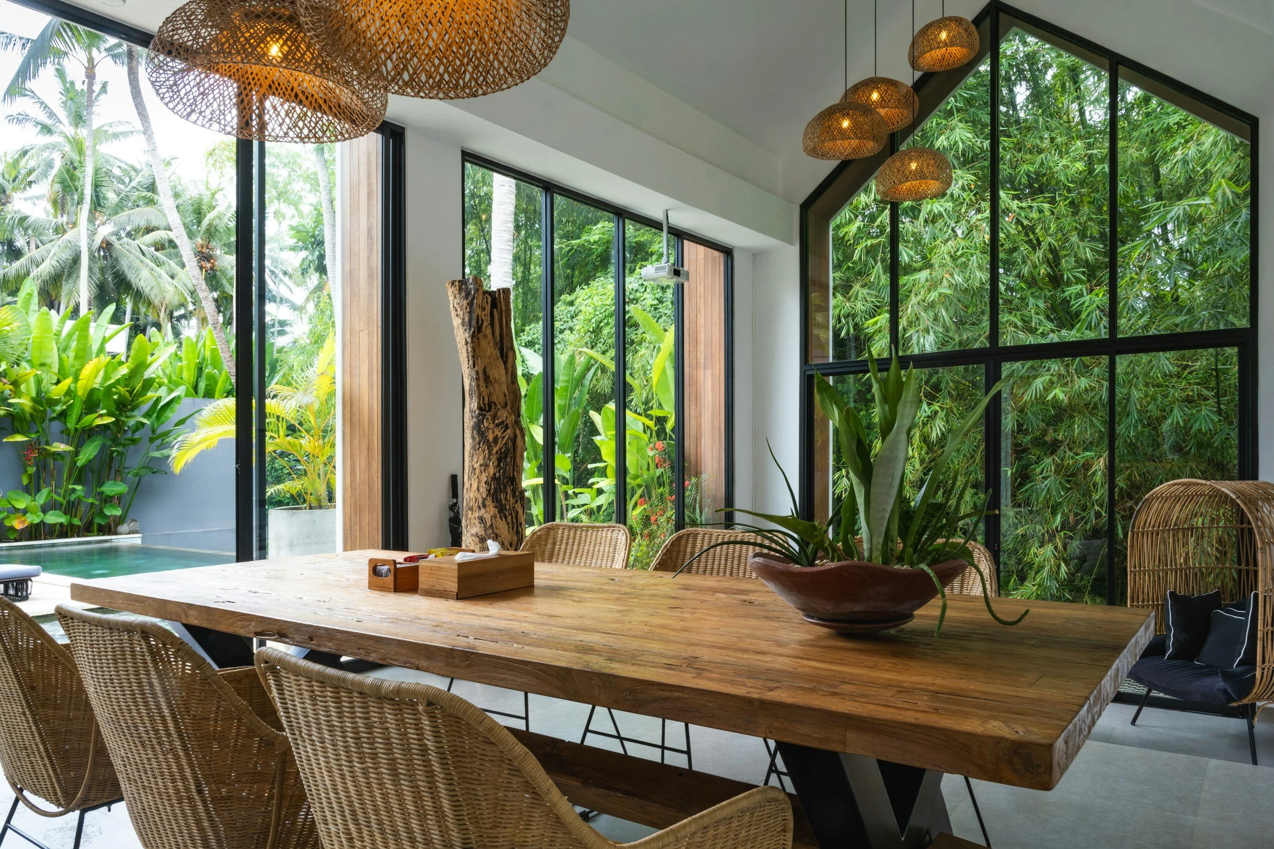 biophilic dining room