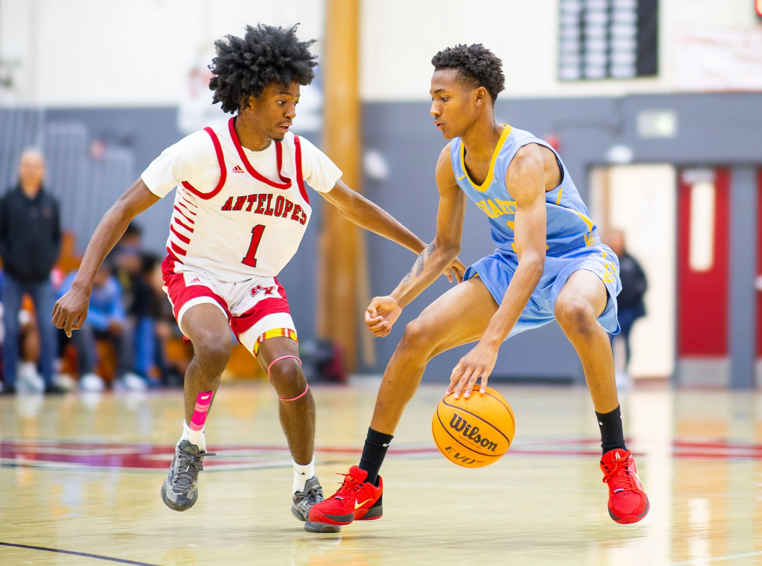 _MG_0330-Enhanced-NR copy.jpg