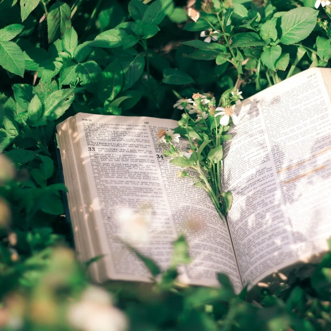 β¨ Ladies, join us this week for Women of Hope Bible Study! β¨
Dive into God’s Word, connect with amazing women, and be encouraged in your walk with Him. ππ
We can’t wait to see you there!