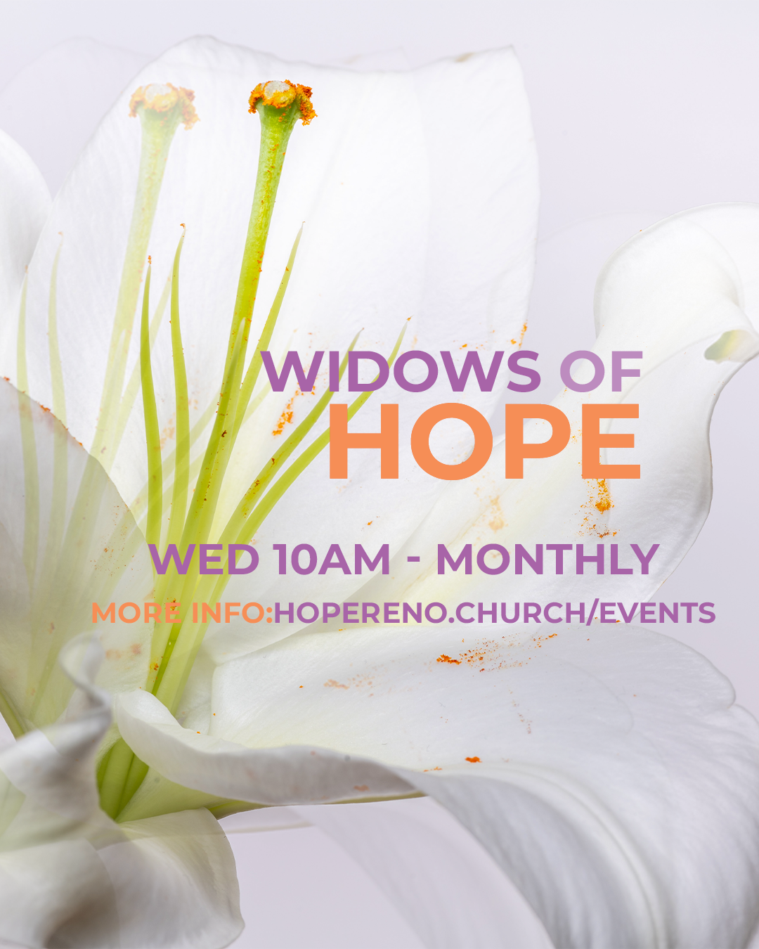 Widows
