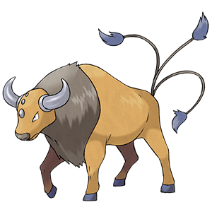 Tauros (35pokes) - 11/1/2025
