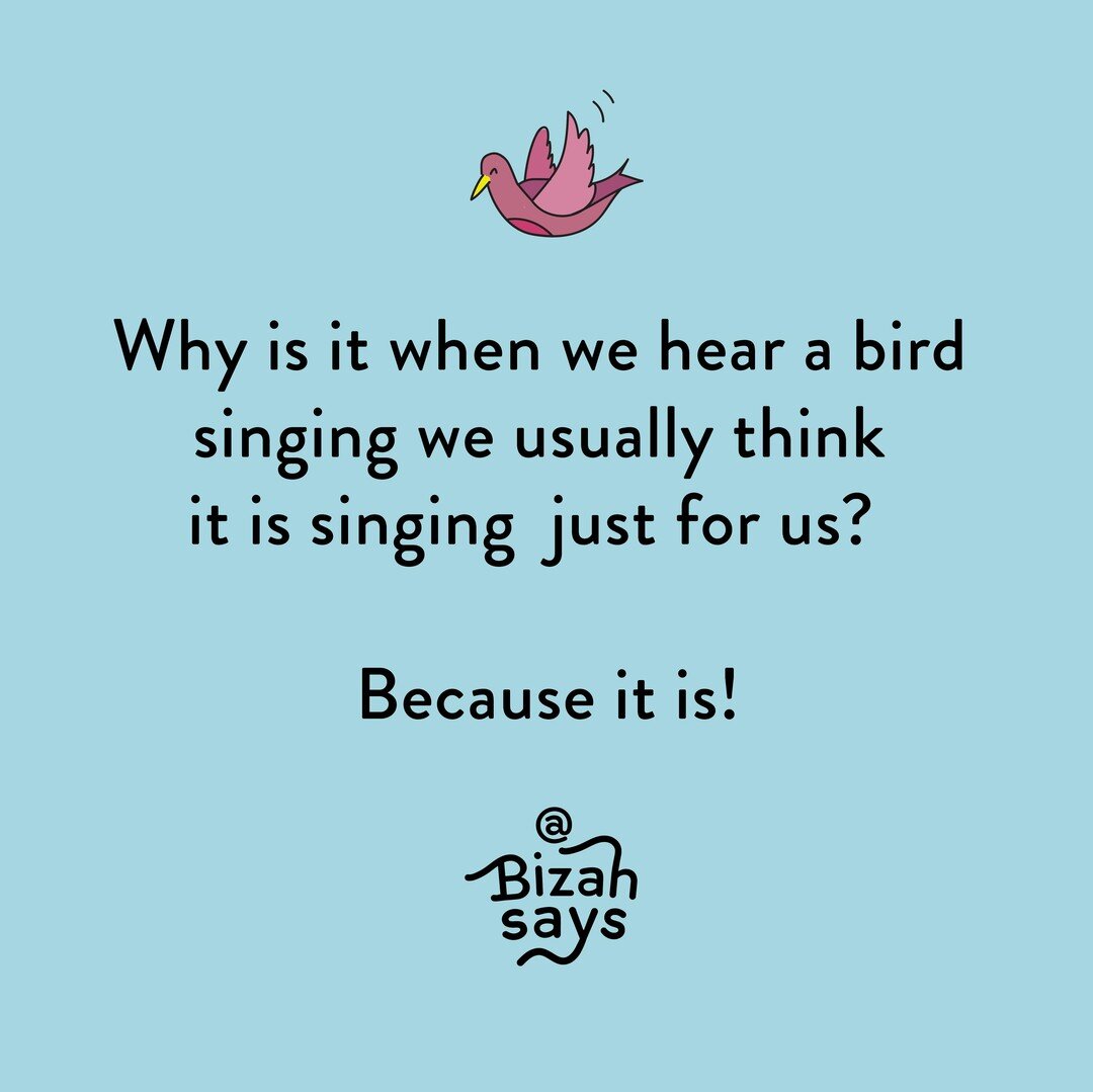 The birds outside my house always say, &quot;heeeeyyy laydeee! hayyyeee laaadie!&quot; What do the birds at your house say?

#bizah #wwbd? #bizahstories #bizahsays #namastepublishing #namastebooks #mindfulness #quotes #inspirationalquotes #lifelesson