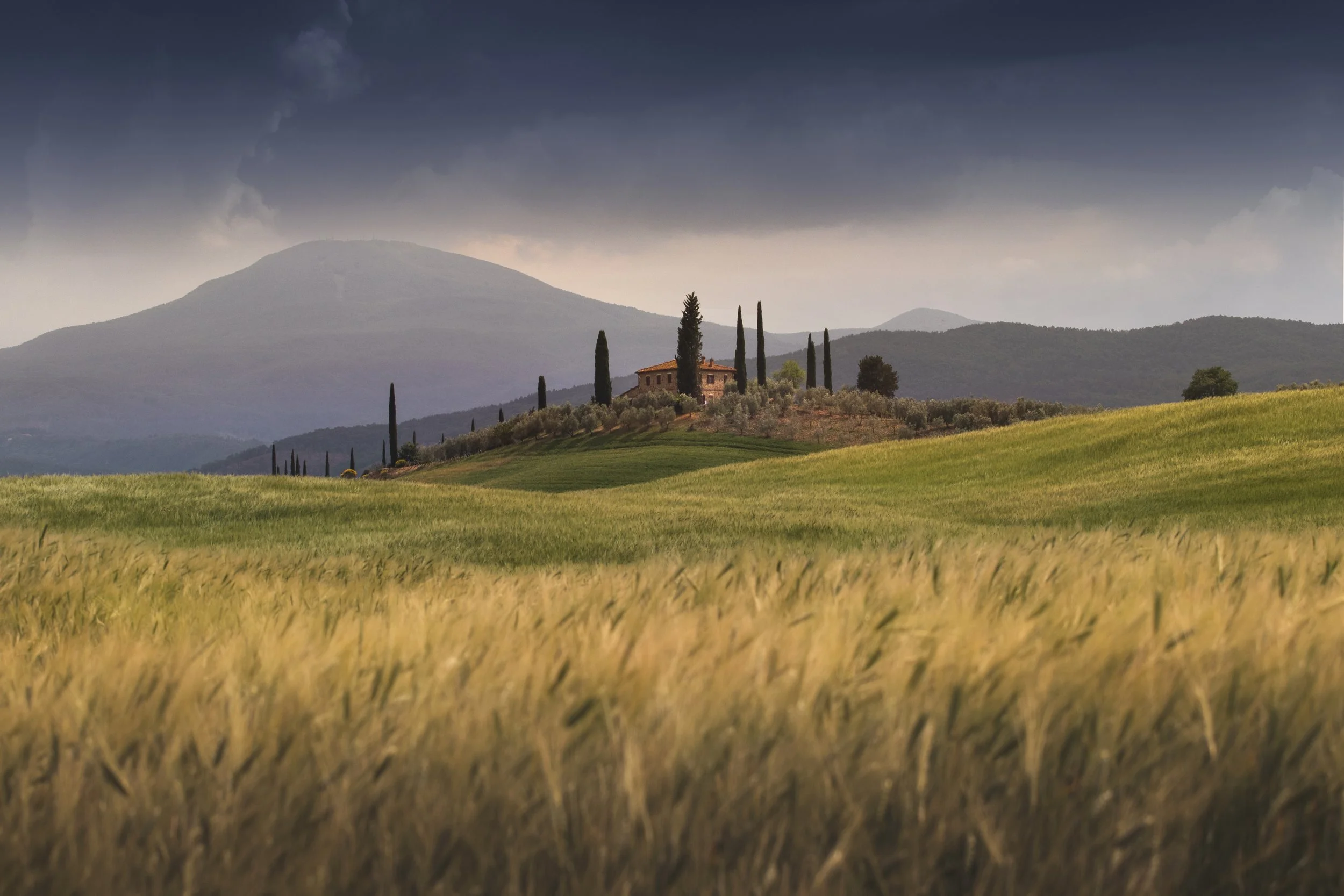 Tuscany Fields web.jpg