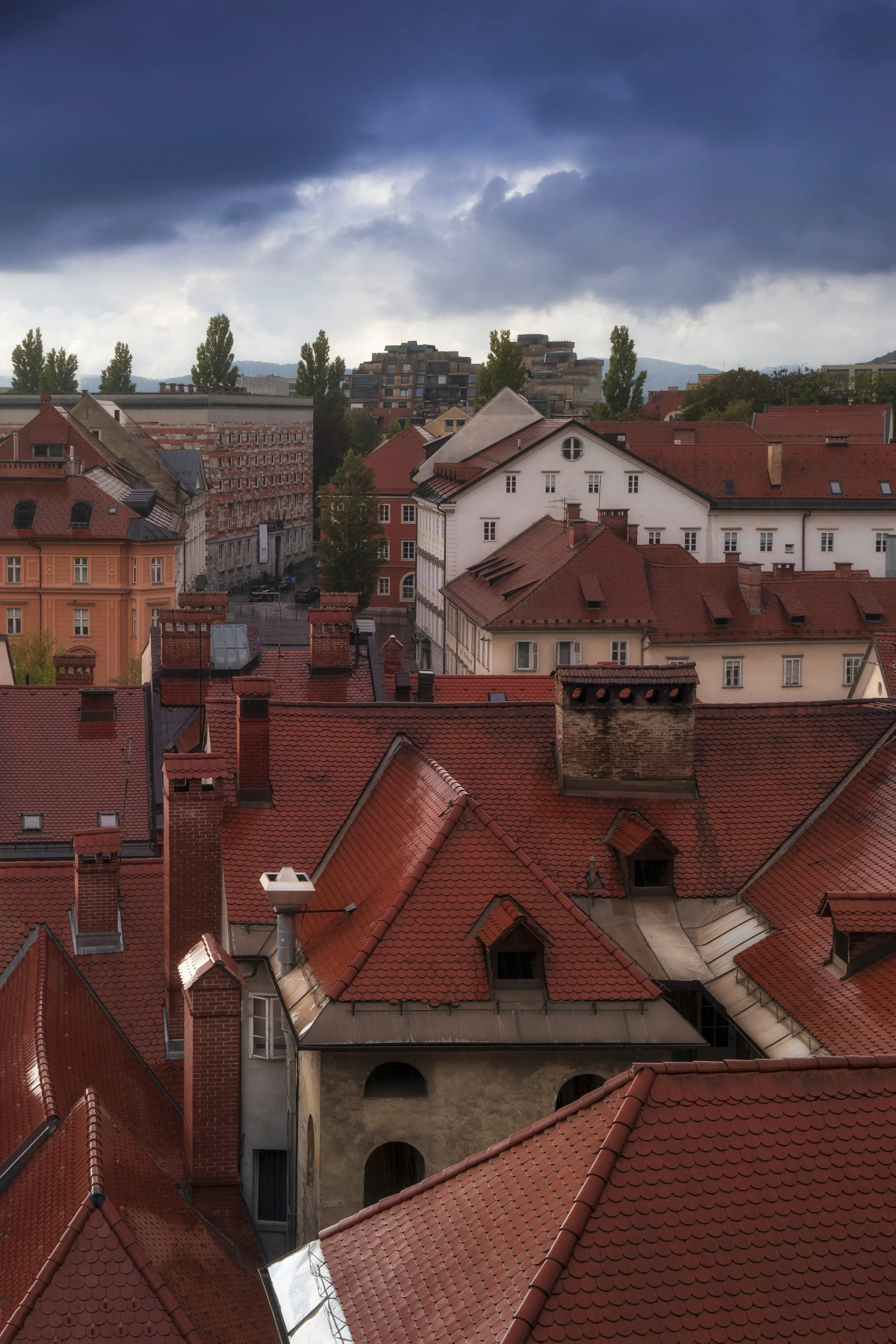 Rooftop Houses web.jpg