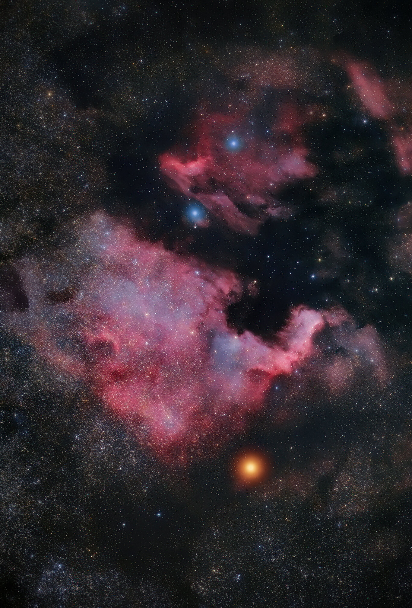 The North America Nebula is an emission nebula in the constellation Cygnus, close to Deneb (the tail of the swan and its brightest star). The shape of the nebula resembles that of the continent of North America, complete with a prominent Gulf of Mexi
