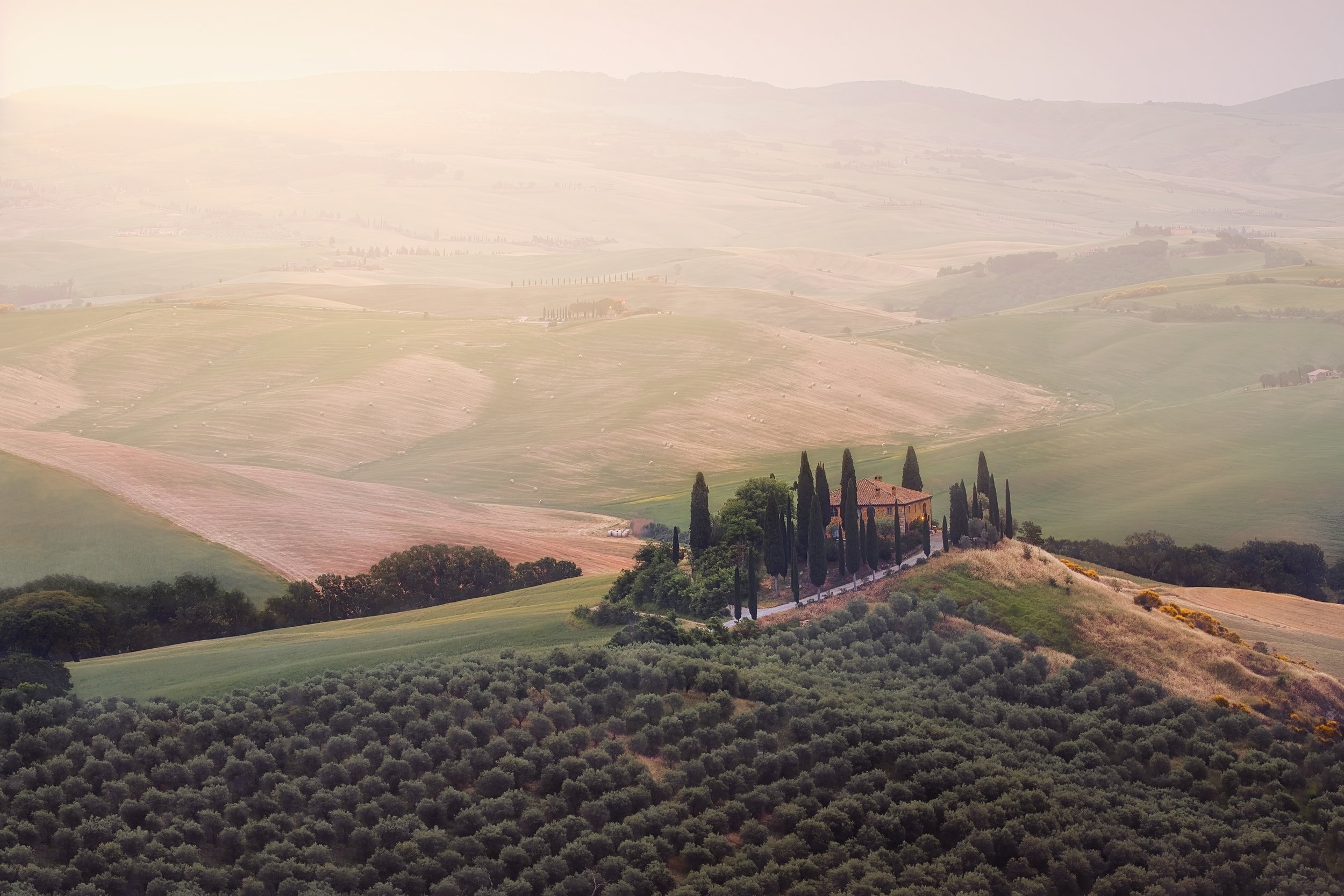 Podere Belvedere web.jpg