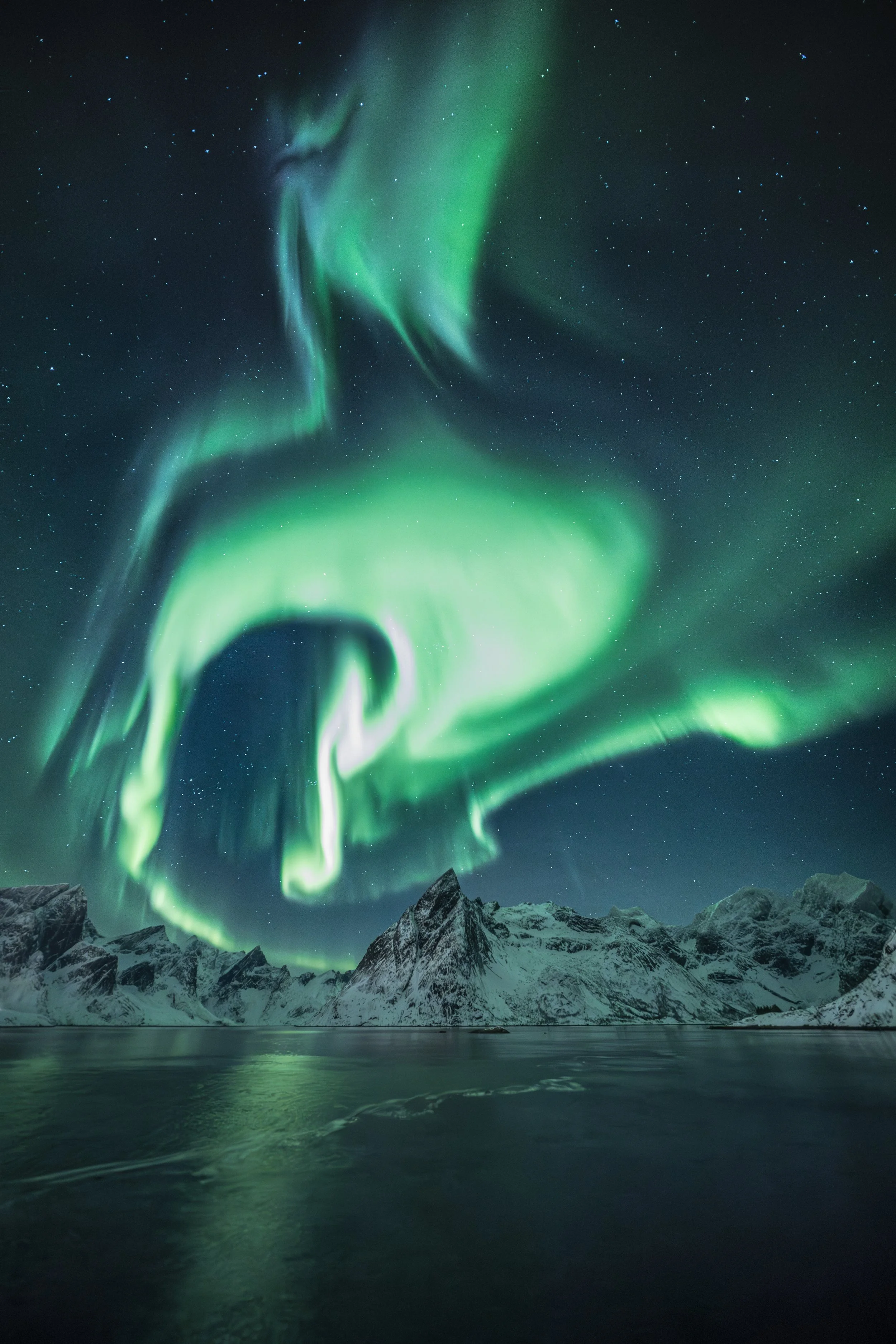 Reine Over Aurora web.jpg