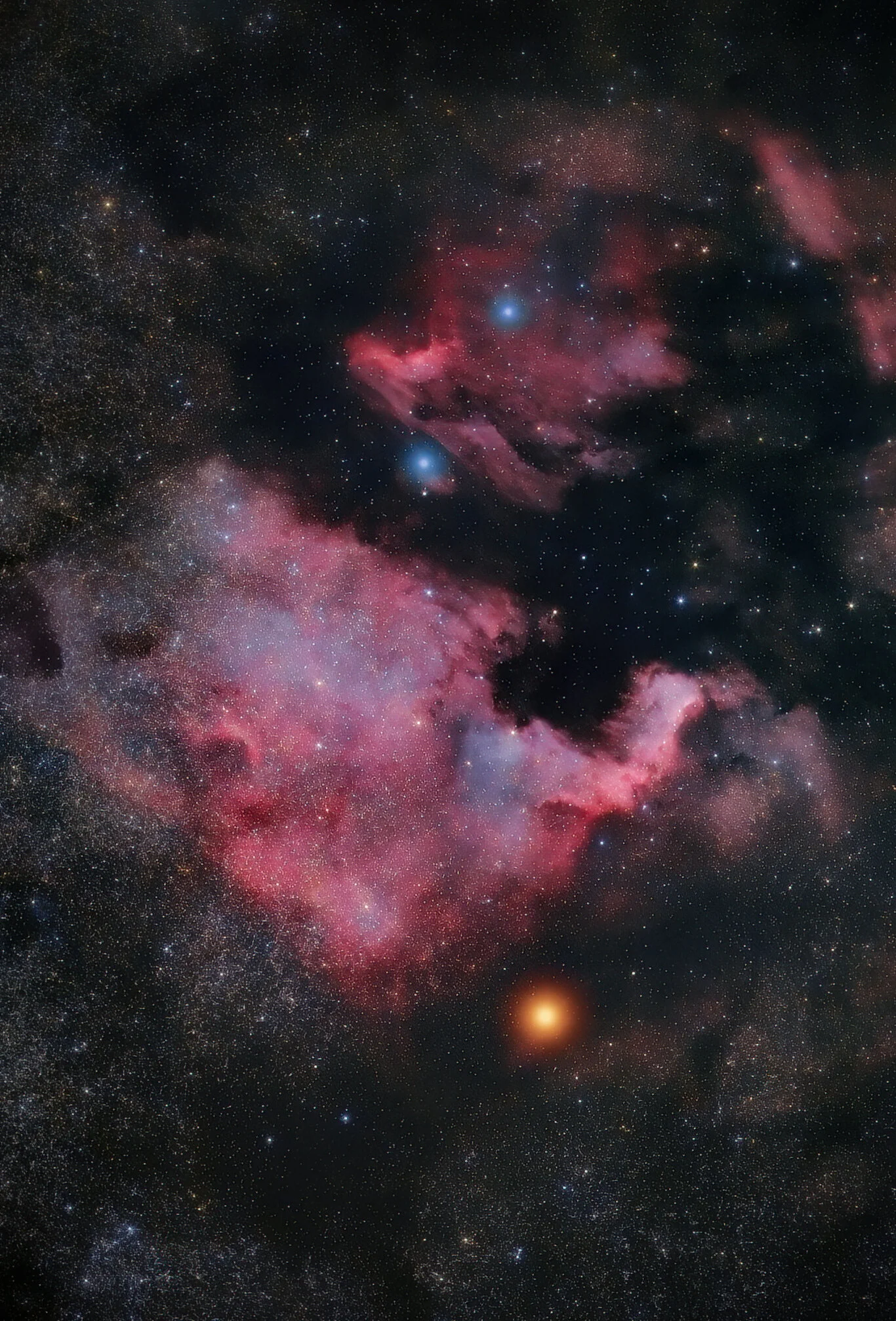 the north american nebula web.jpg