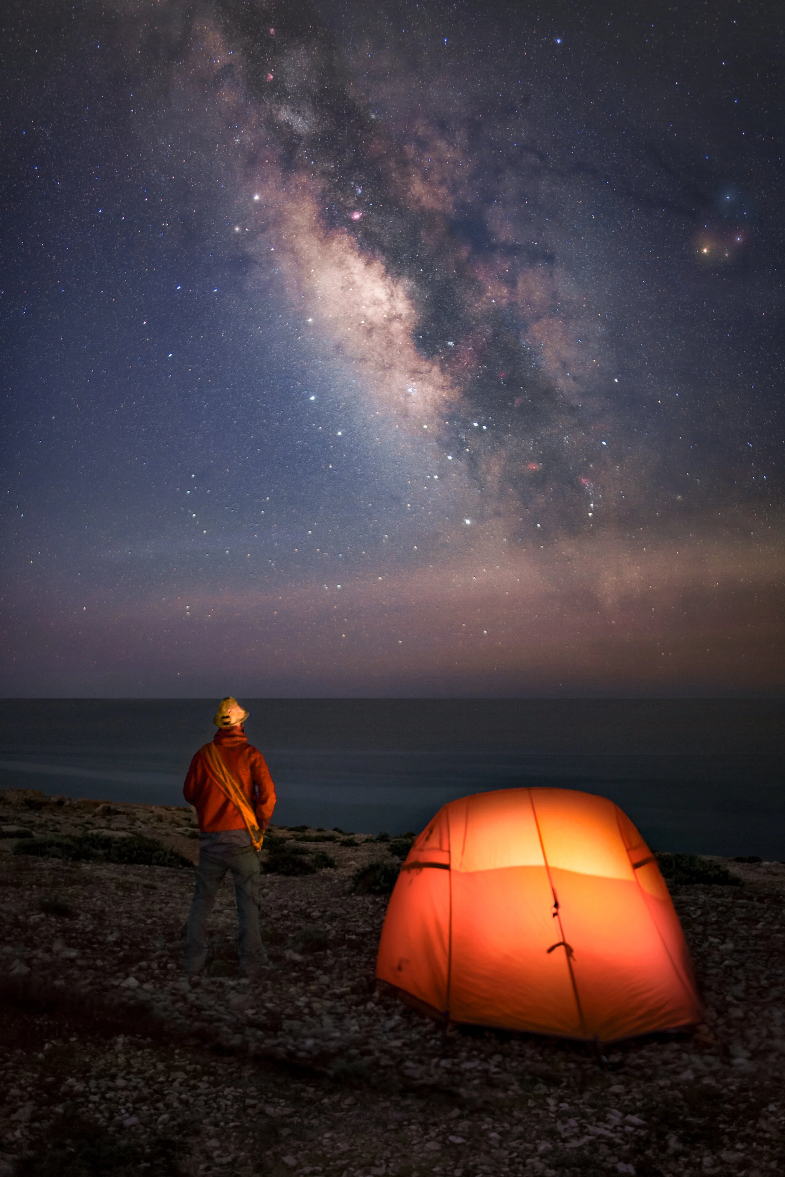 alone in the dark web.jpg