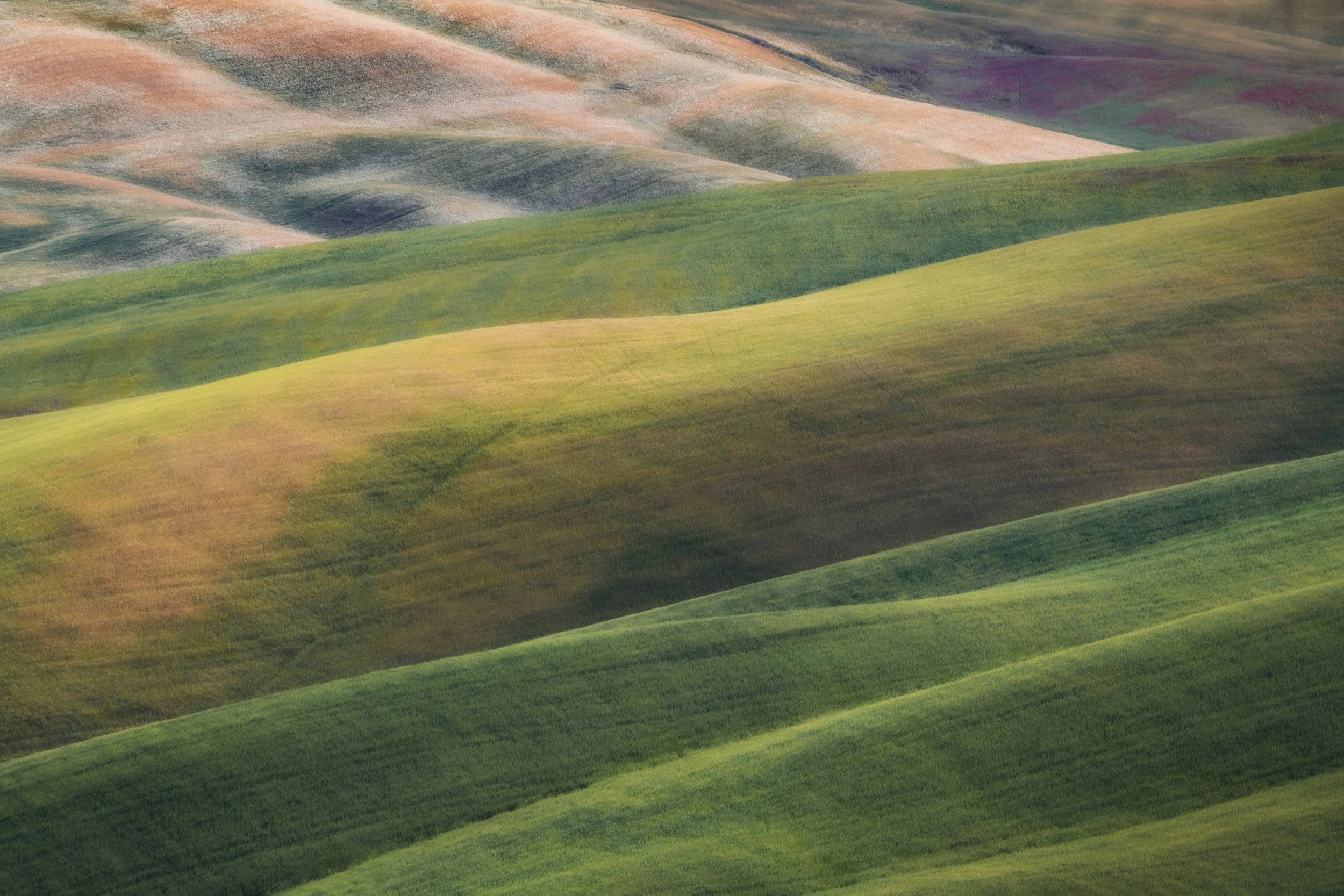 The Layers Of Tuscany web .jpg