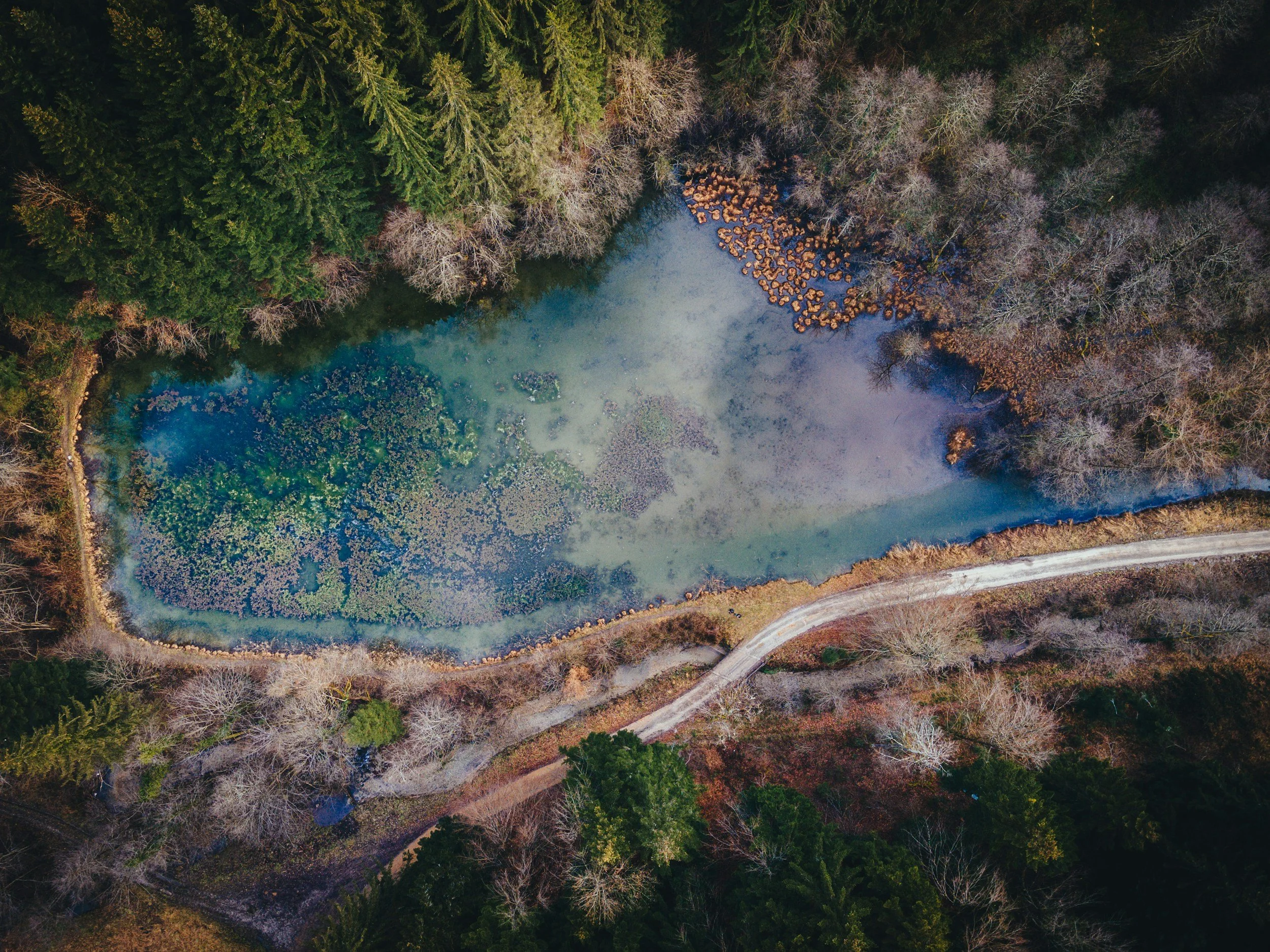 unsplash-image-yeV550xfUO4.jpg
