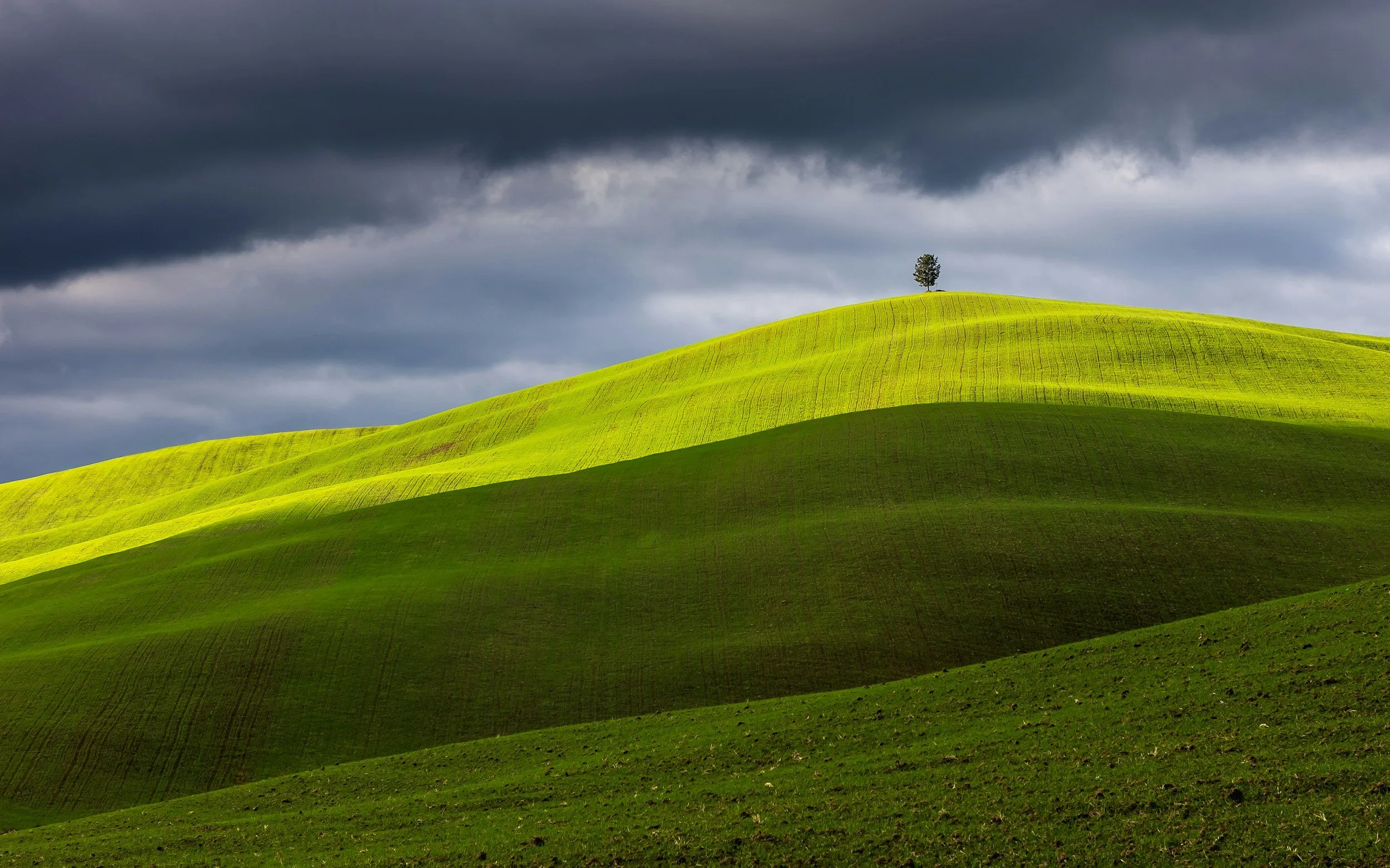 unsplash-image-oaqH1o6XK4g.jpg