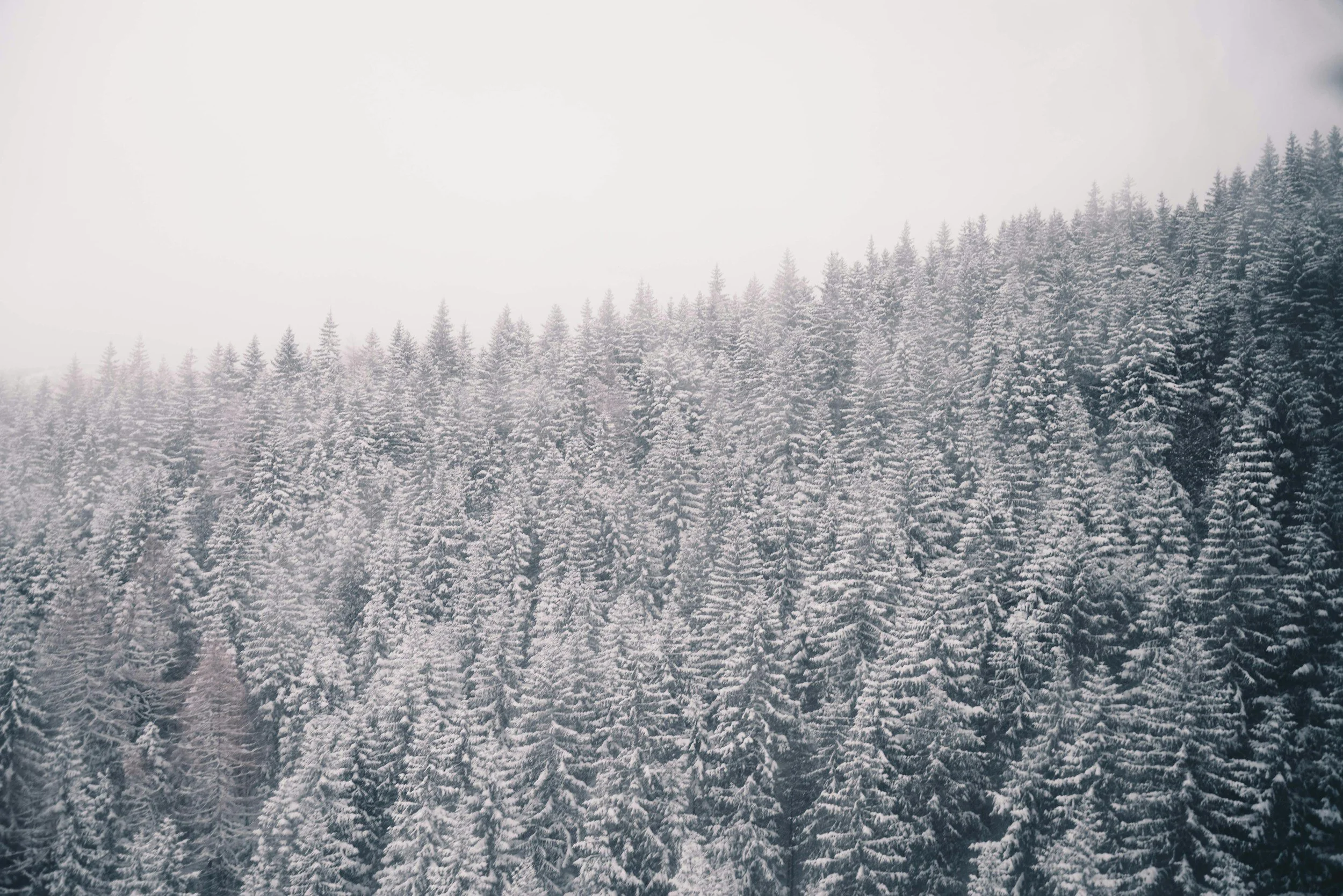 unsplash-image-fsxMLqbWn7k.jpg