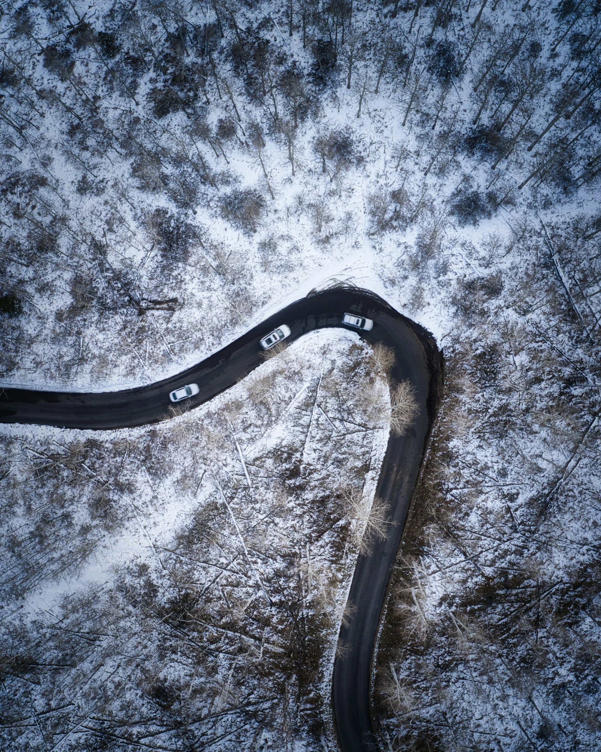 unsplash-image-RedShc4BbHM.jpg