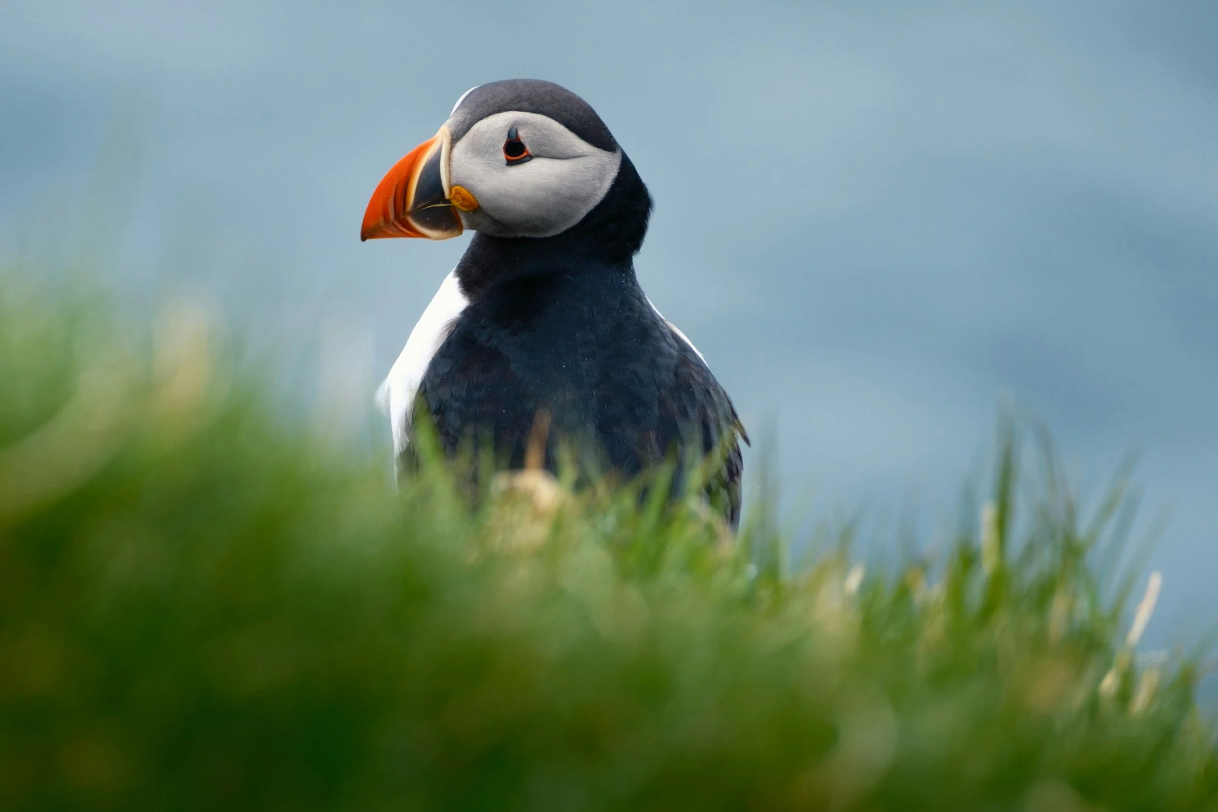 unsplash-image-LoF4yTHUcy0.jpg