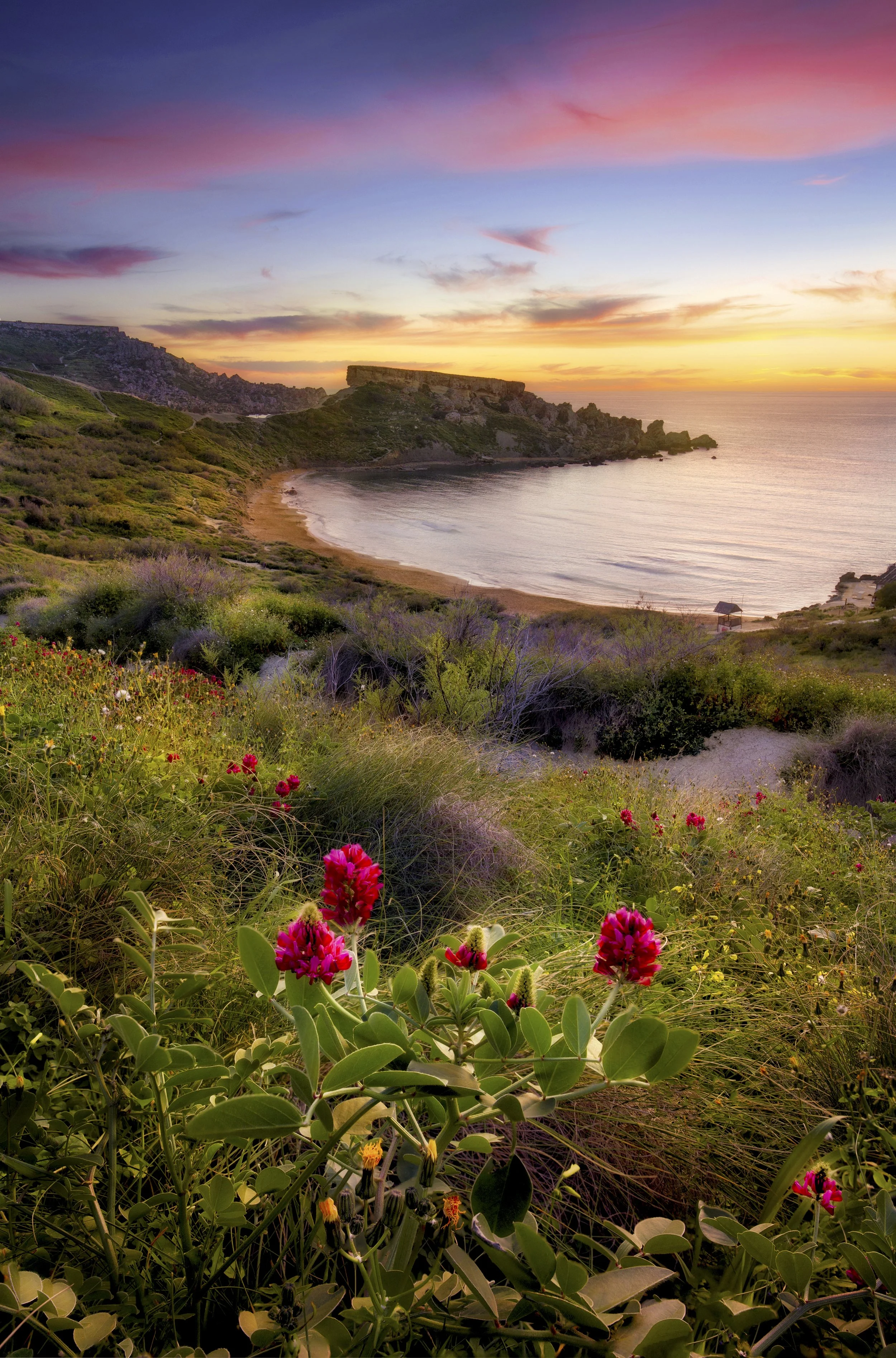 Blooming Flowers web.jpg