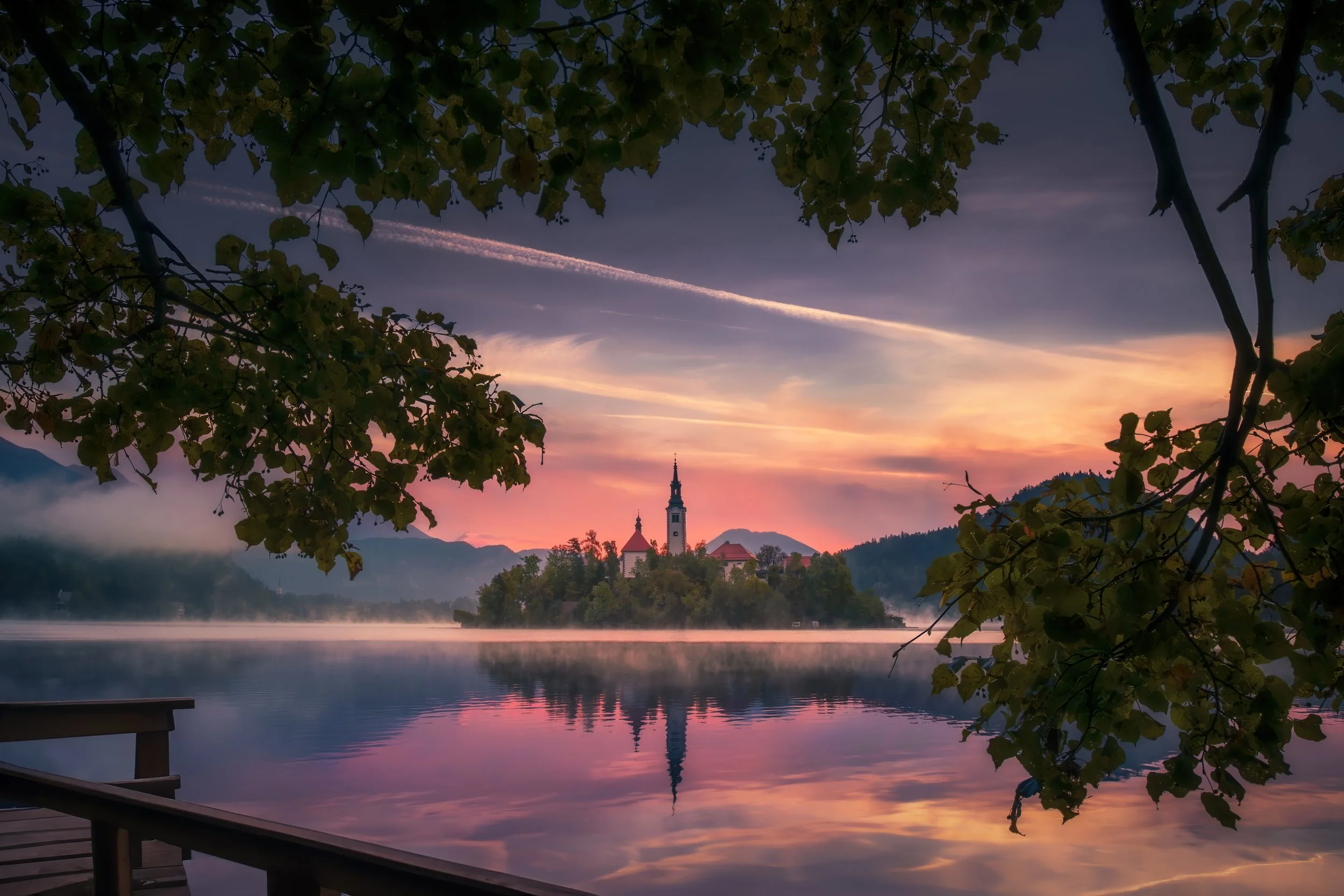 Lake Bled Covering with Tree Branches web.jpg