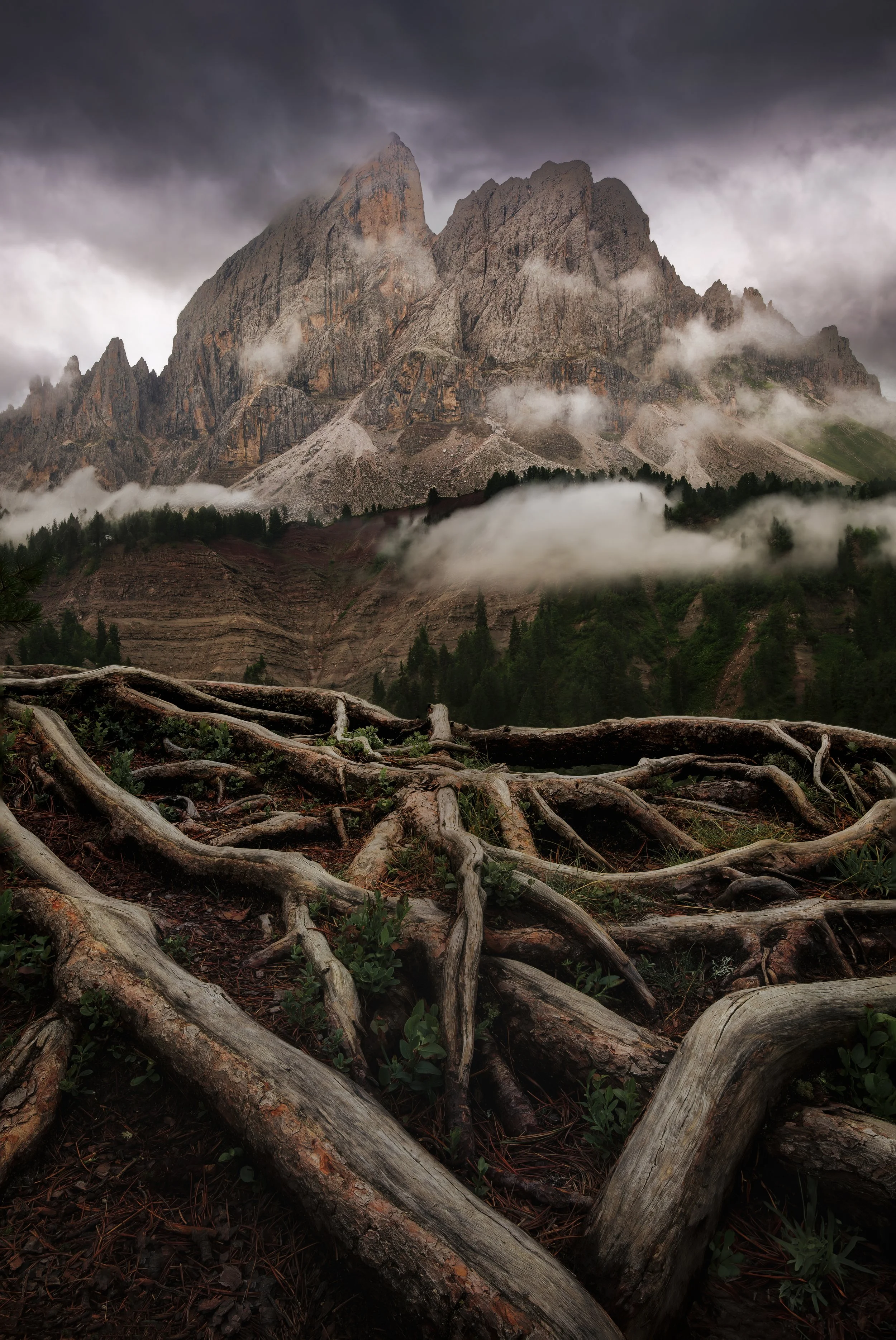 passo delle erbe web.jpg
