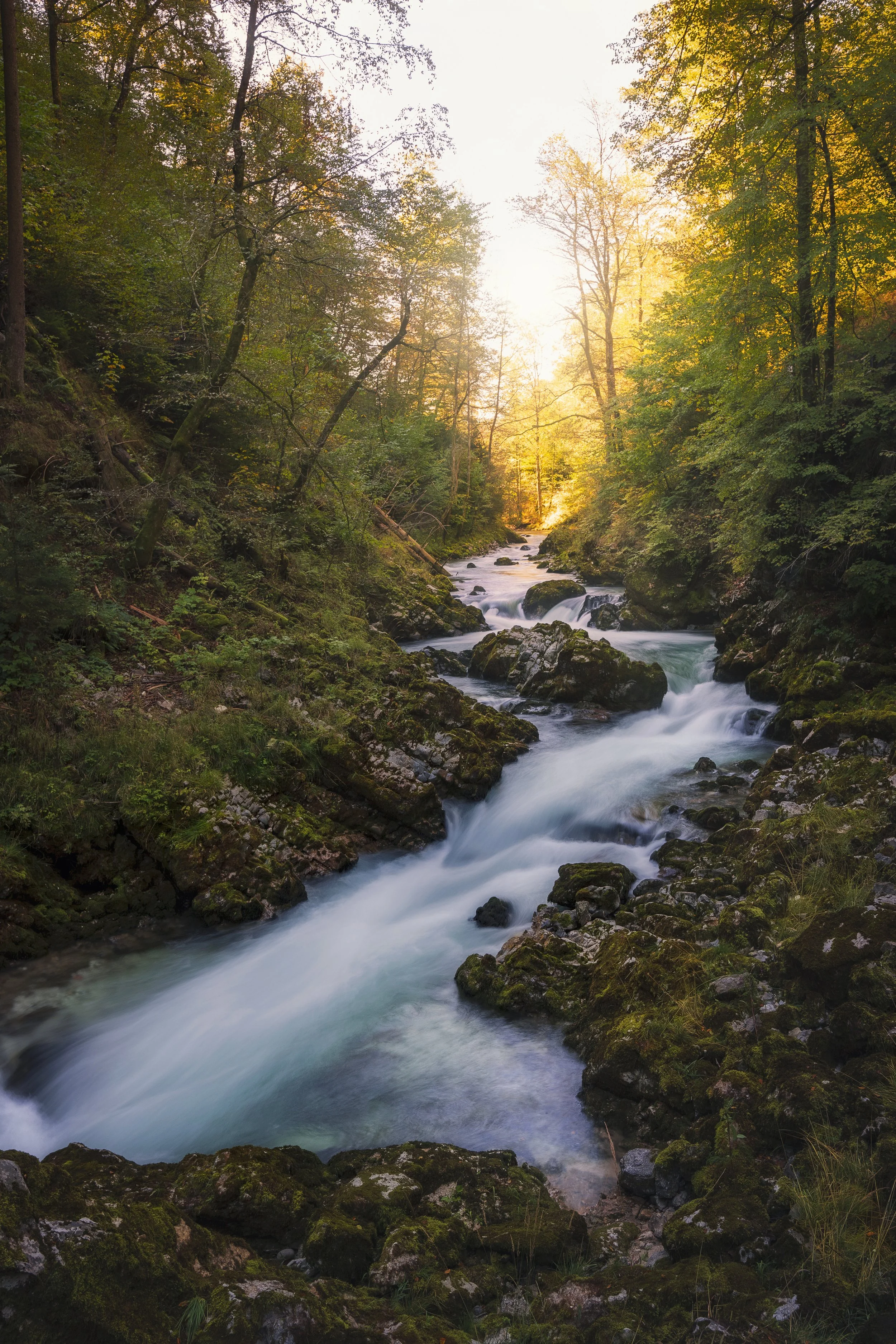 vintgar gorge streams web.jpg