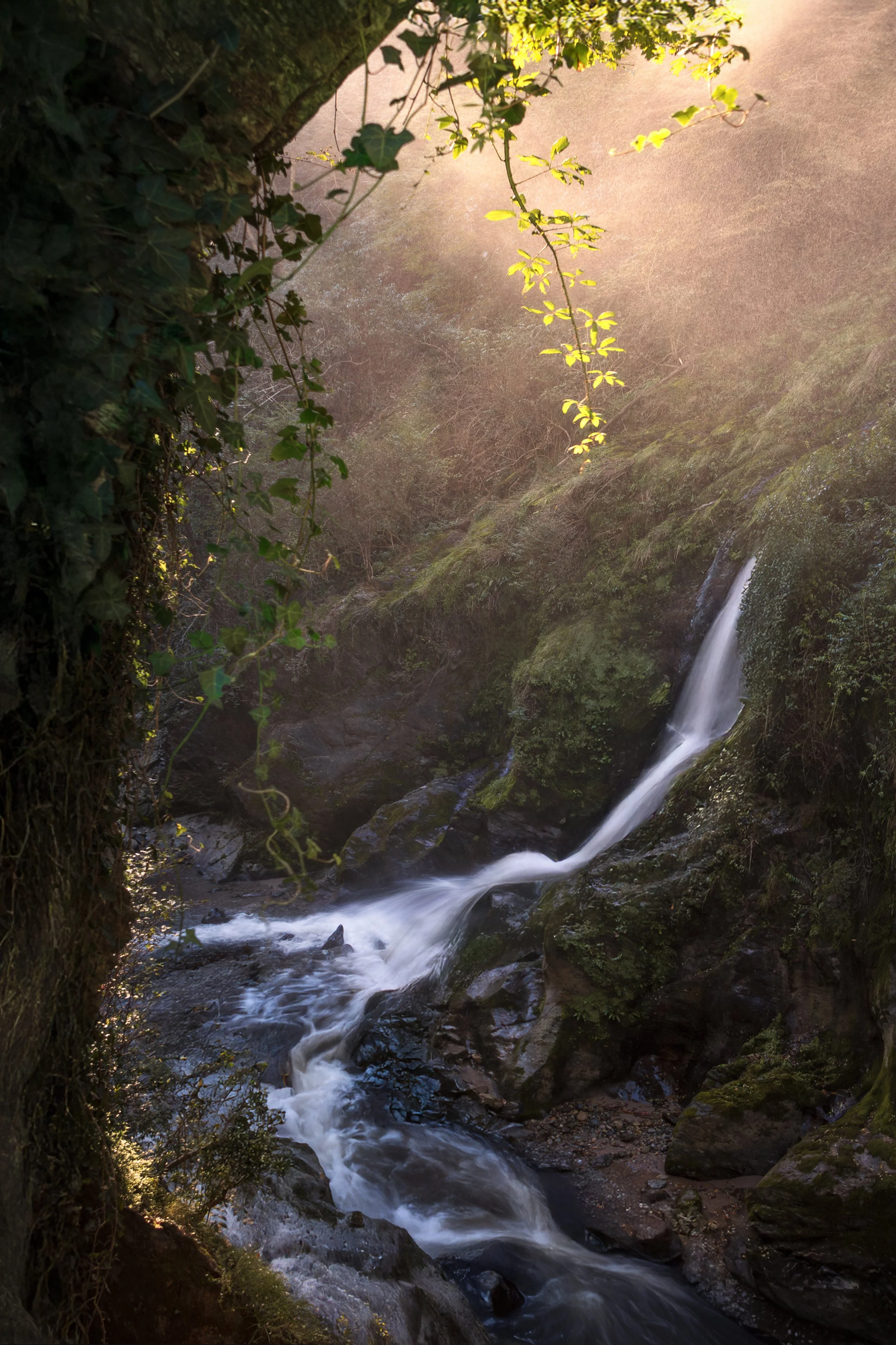 The Waterfall at Orrido web.jpg