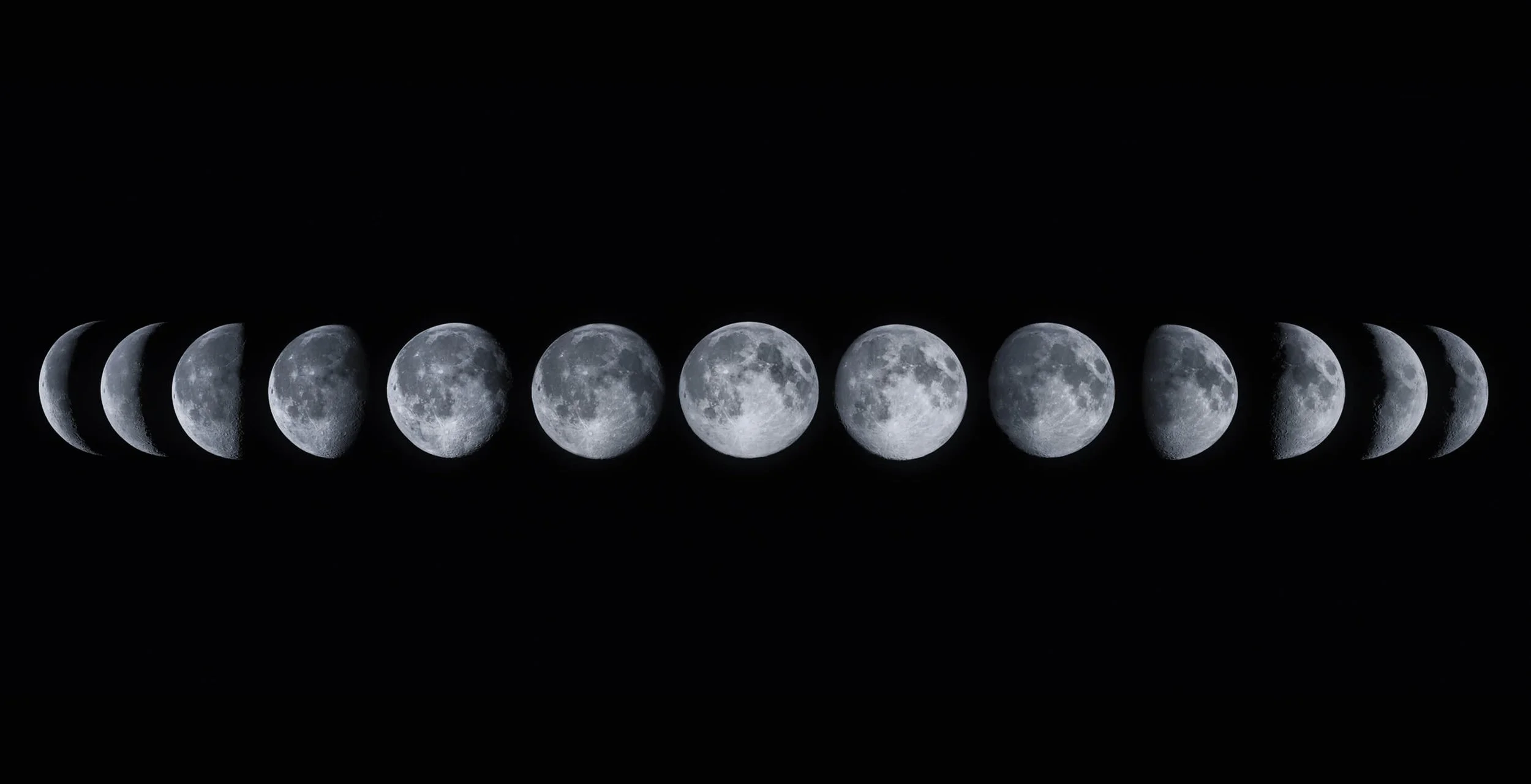 phases of the moon.jpg