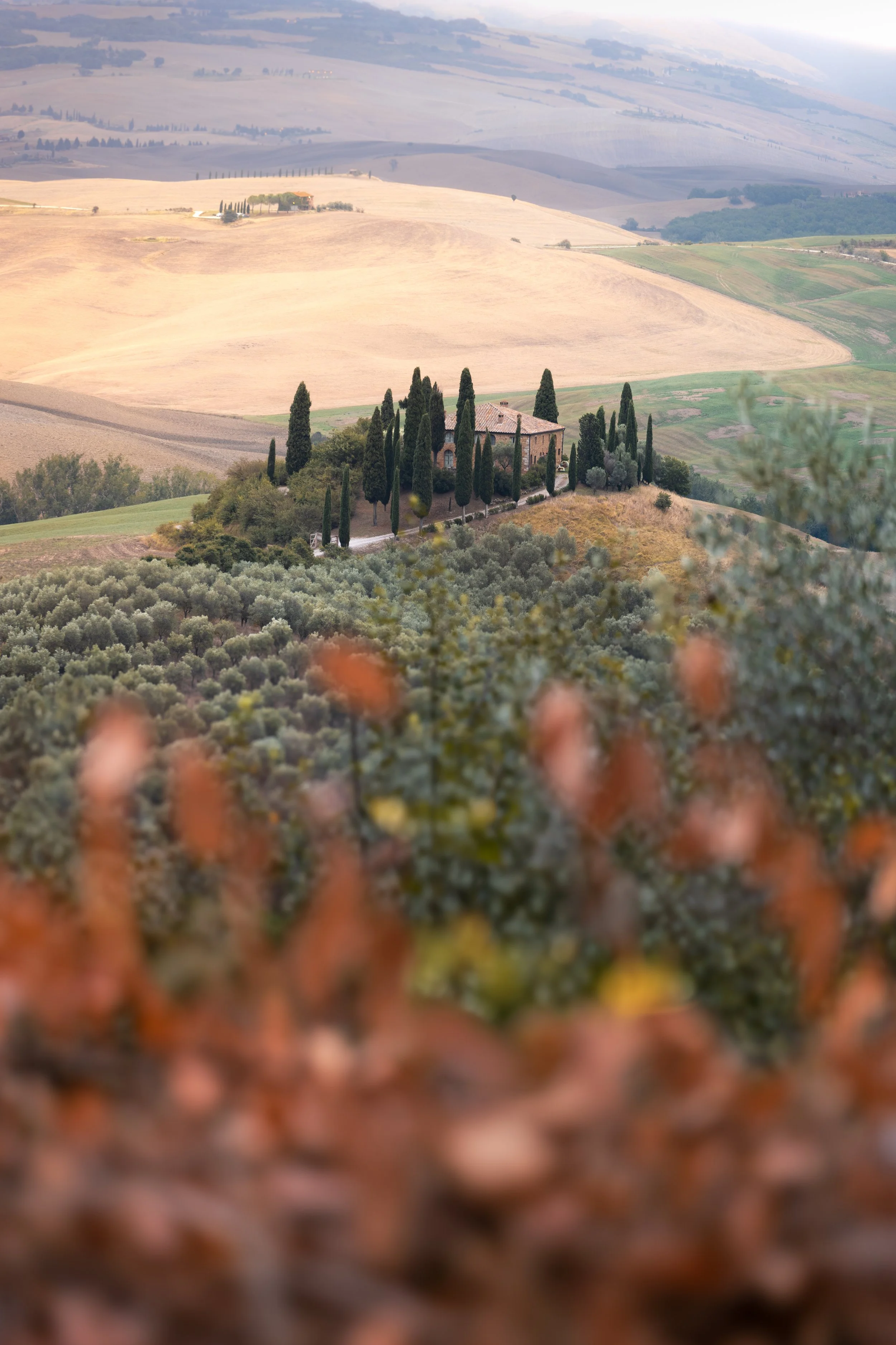 Podere Belvedere Close up web.jpg