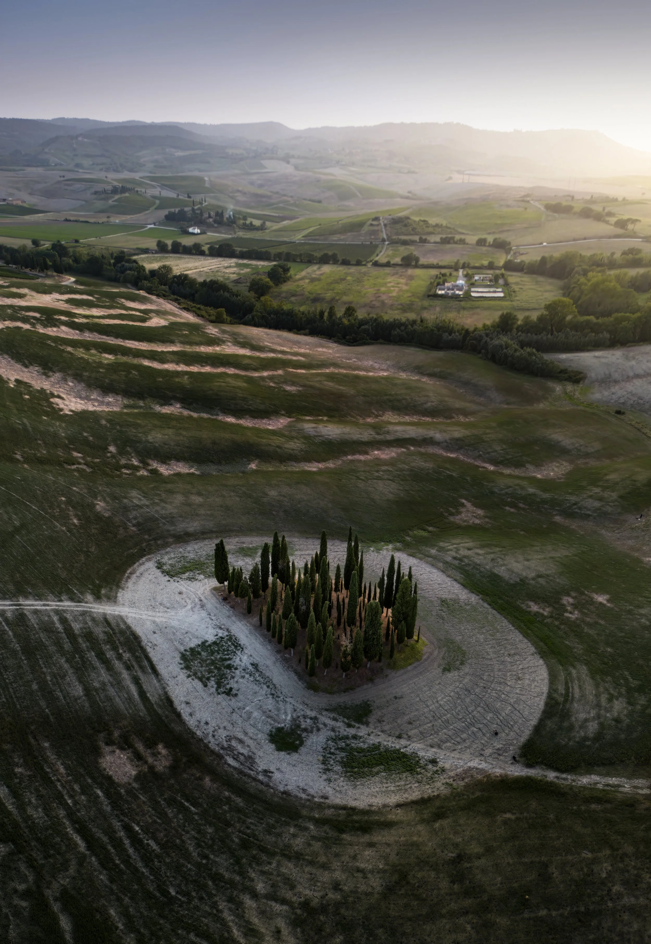 Cipressi di san quirico d'orcia web.jpg
