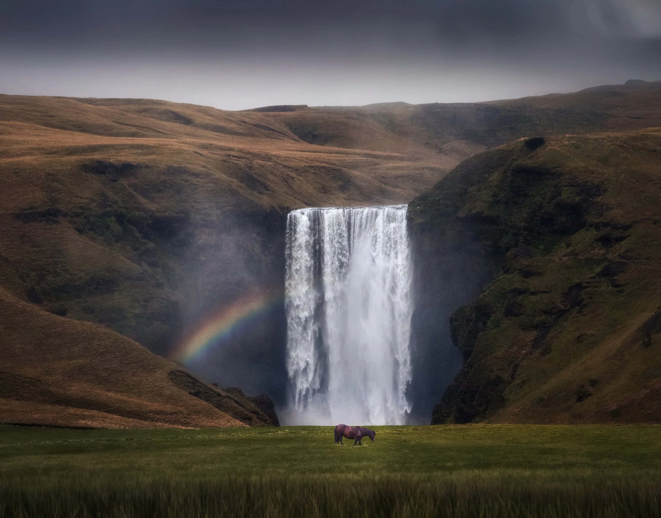 Skogafoss & The Icelandic Horse web.jpg