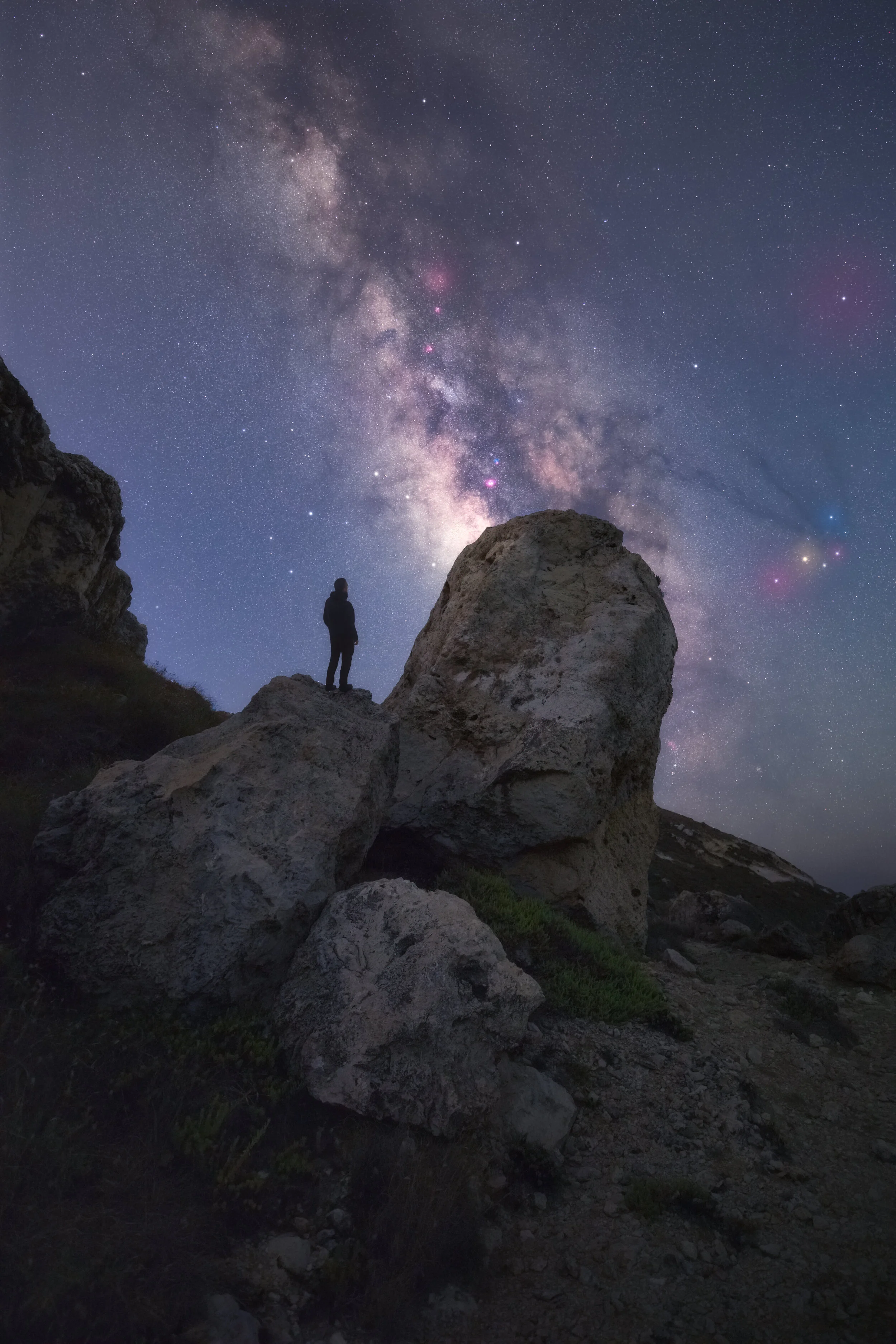 Quantum Consciousness web.jpg