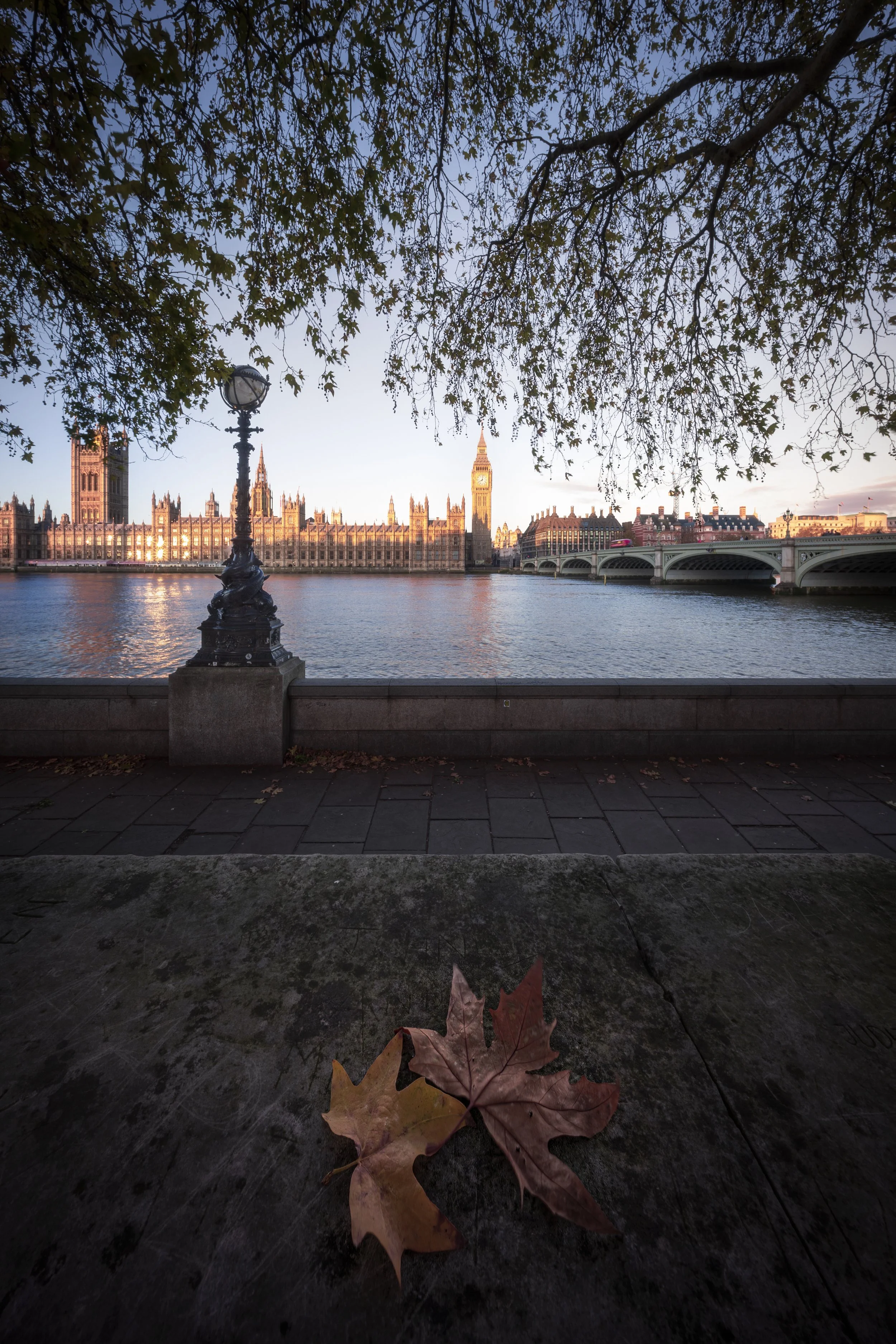 The Westminister Abbey web.jpg