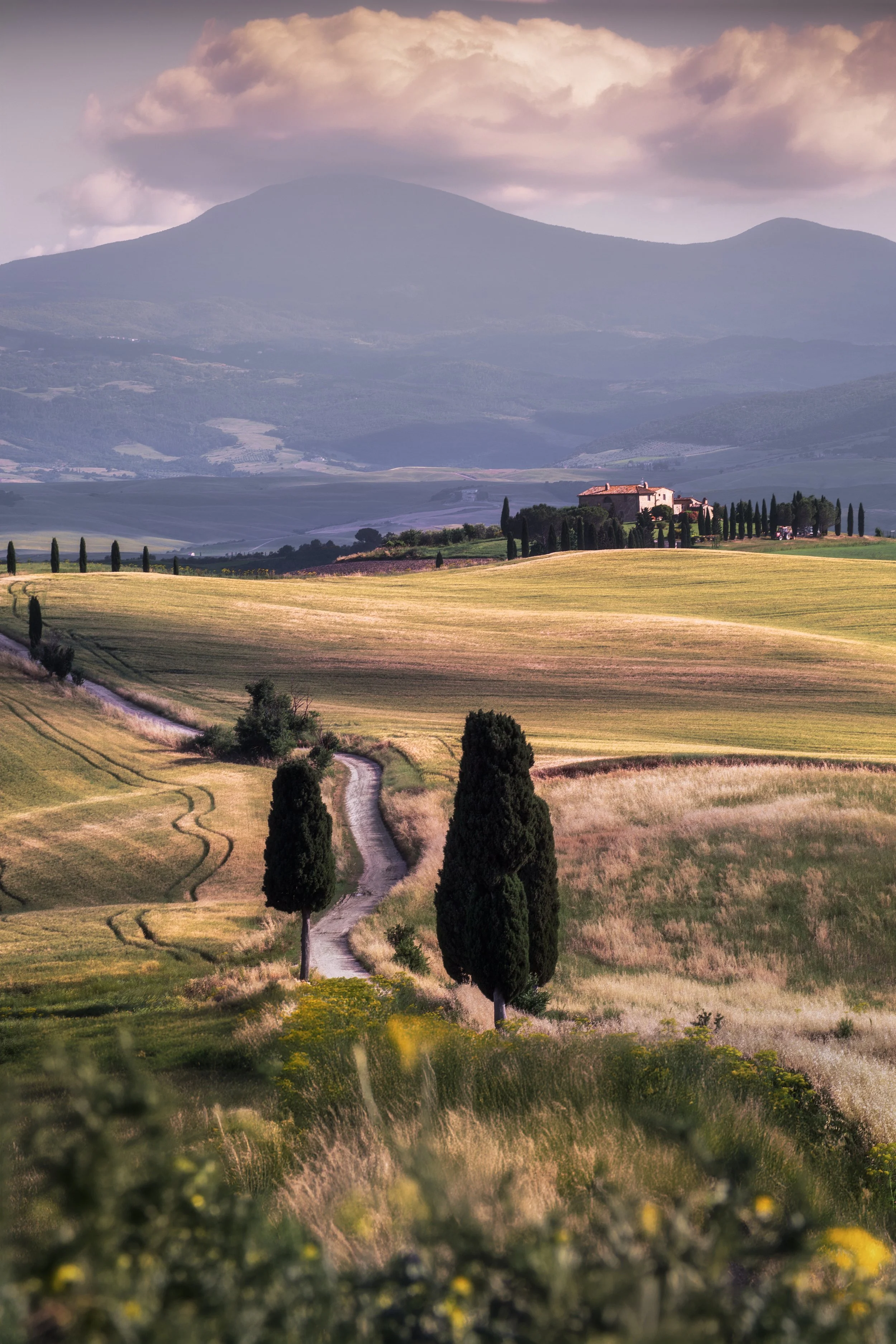 The Gladiator Path web.jpg