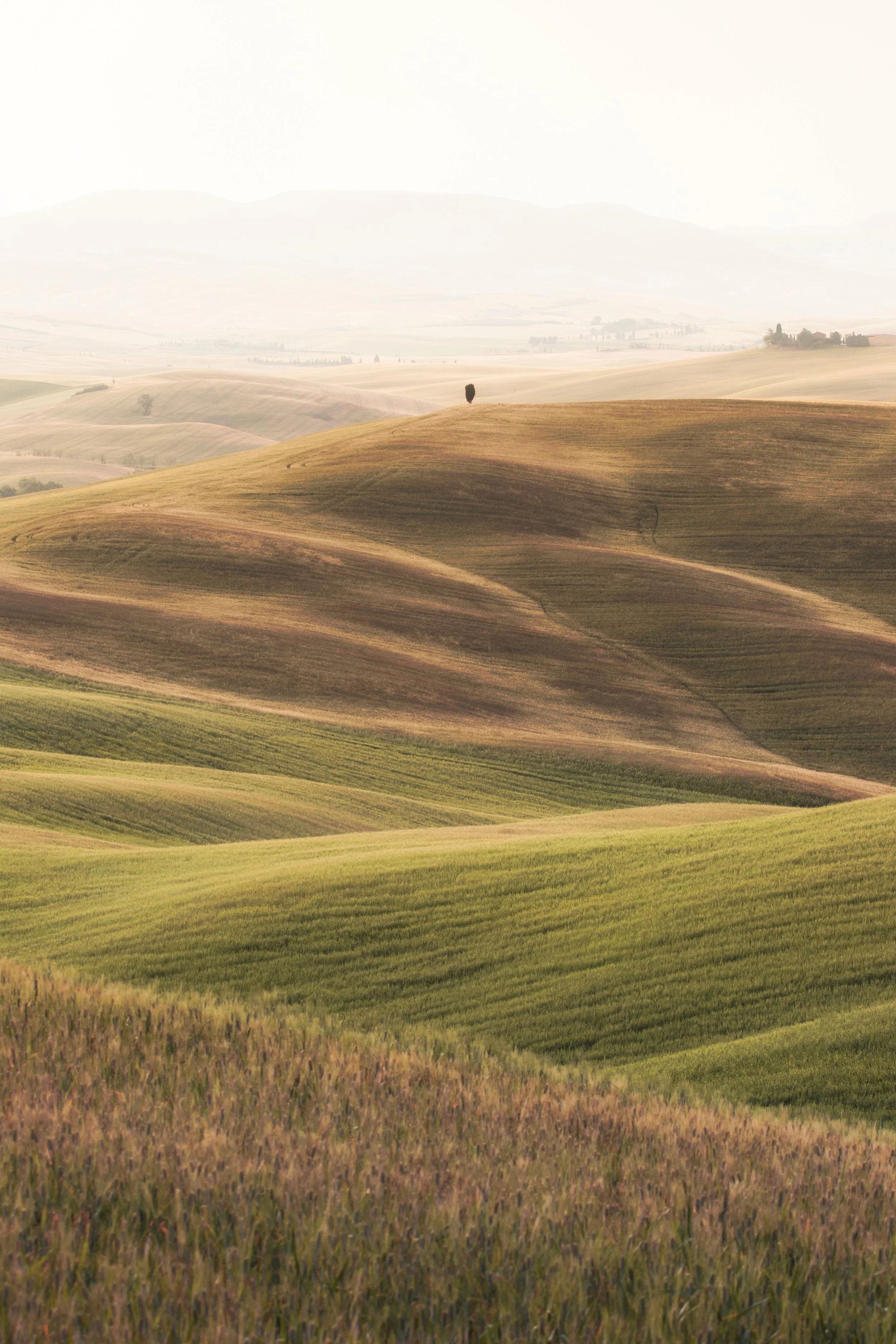 layers of tuscany web.jpg