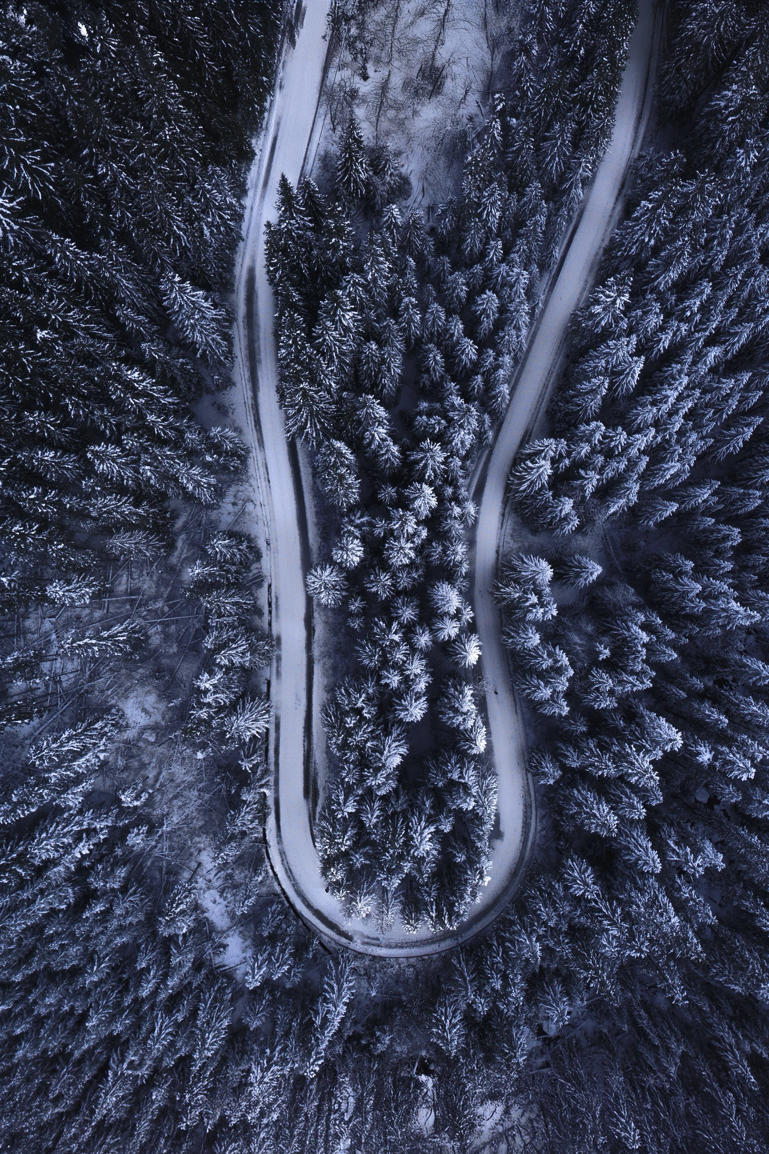 Roads Of Morskie Oko web.jpg