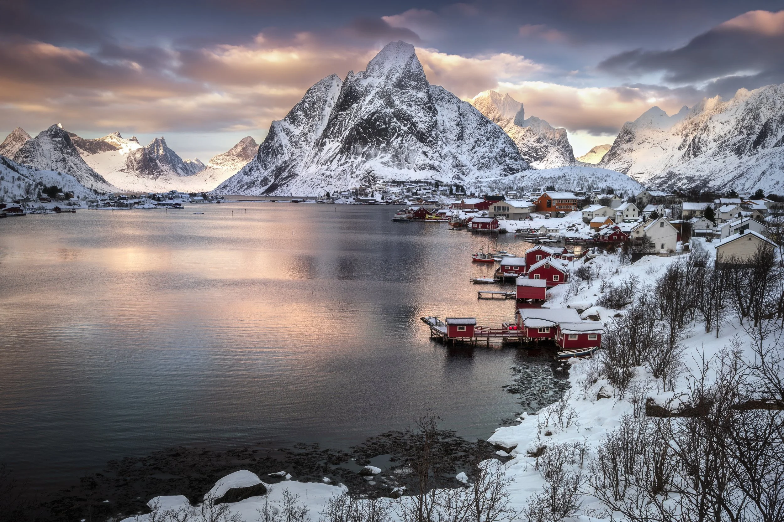 The City Of Reine web.jpg