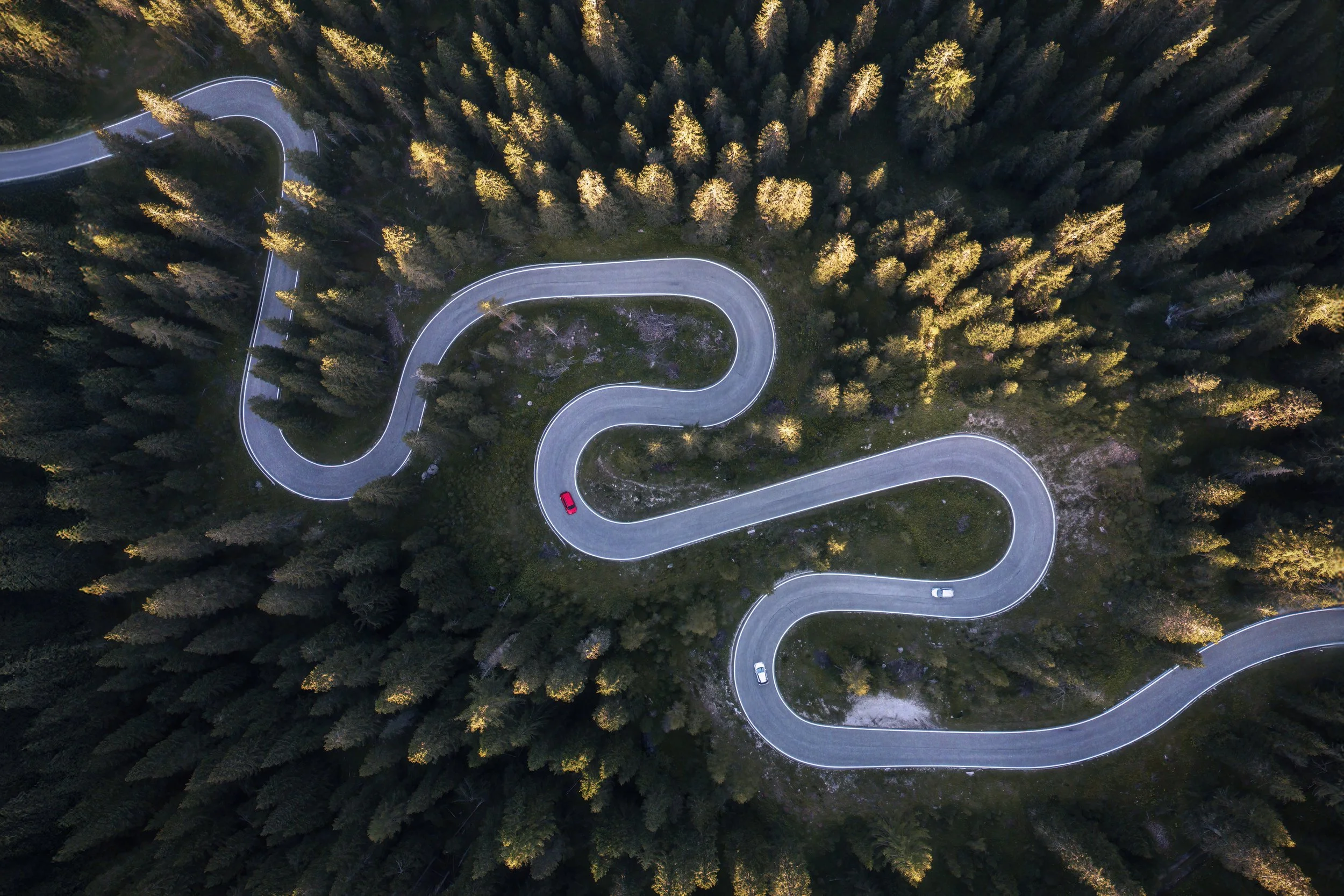 Snake Road Horizontal web.jpg