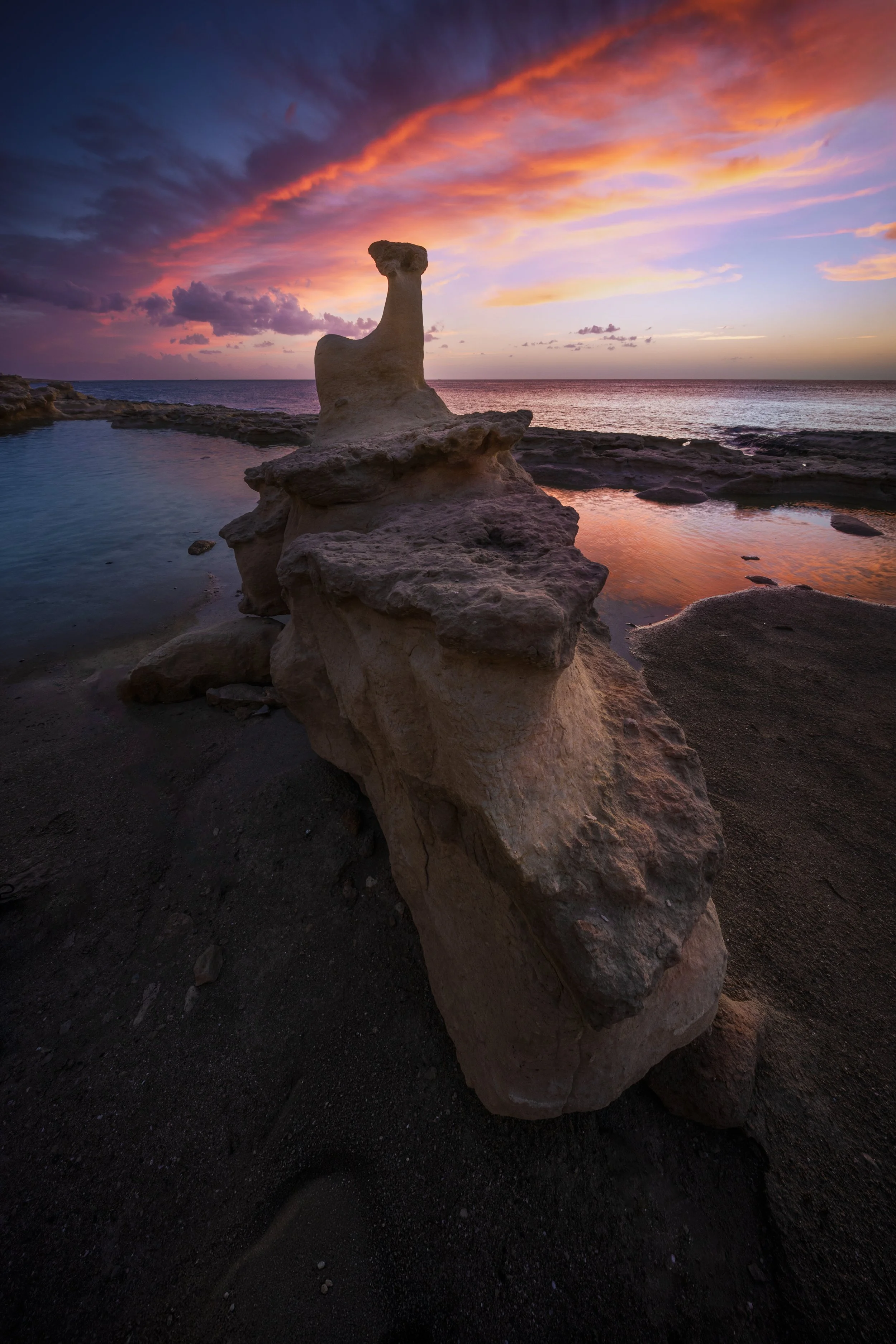 The Carved Camel web.jpg