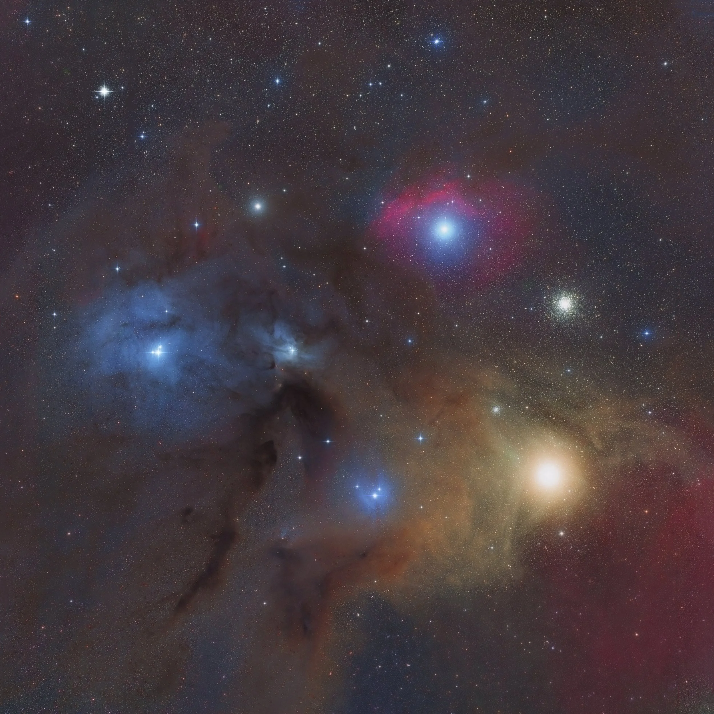 Rho Ophiuchus close up