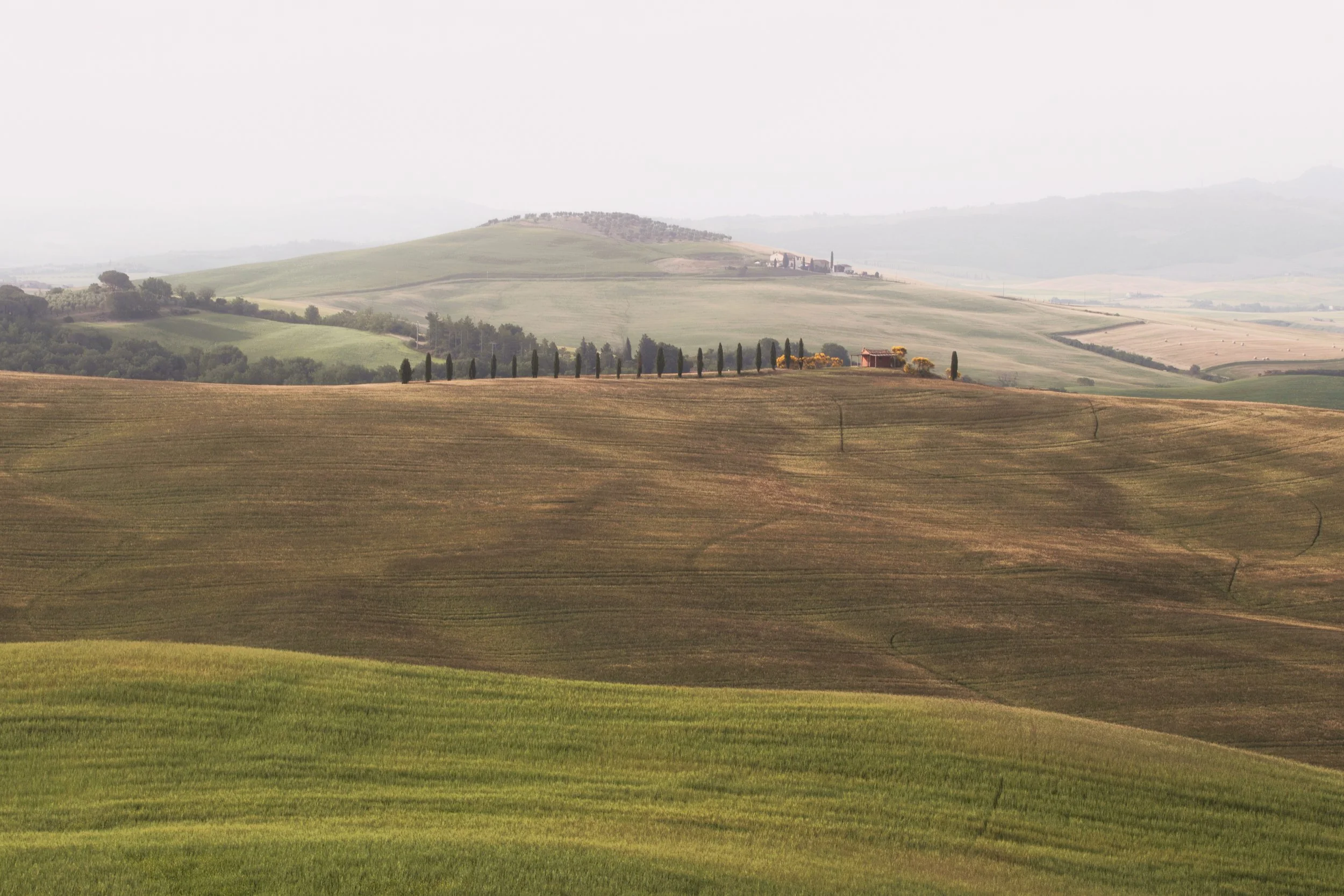 house of textures web.jpg