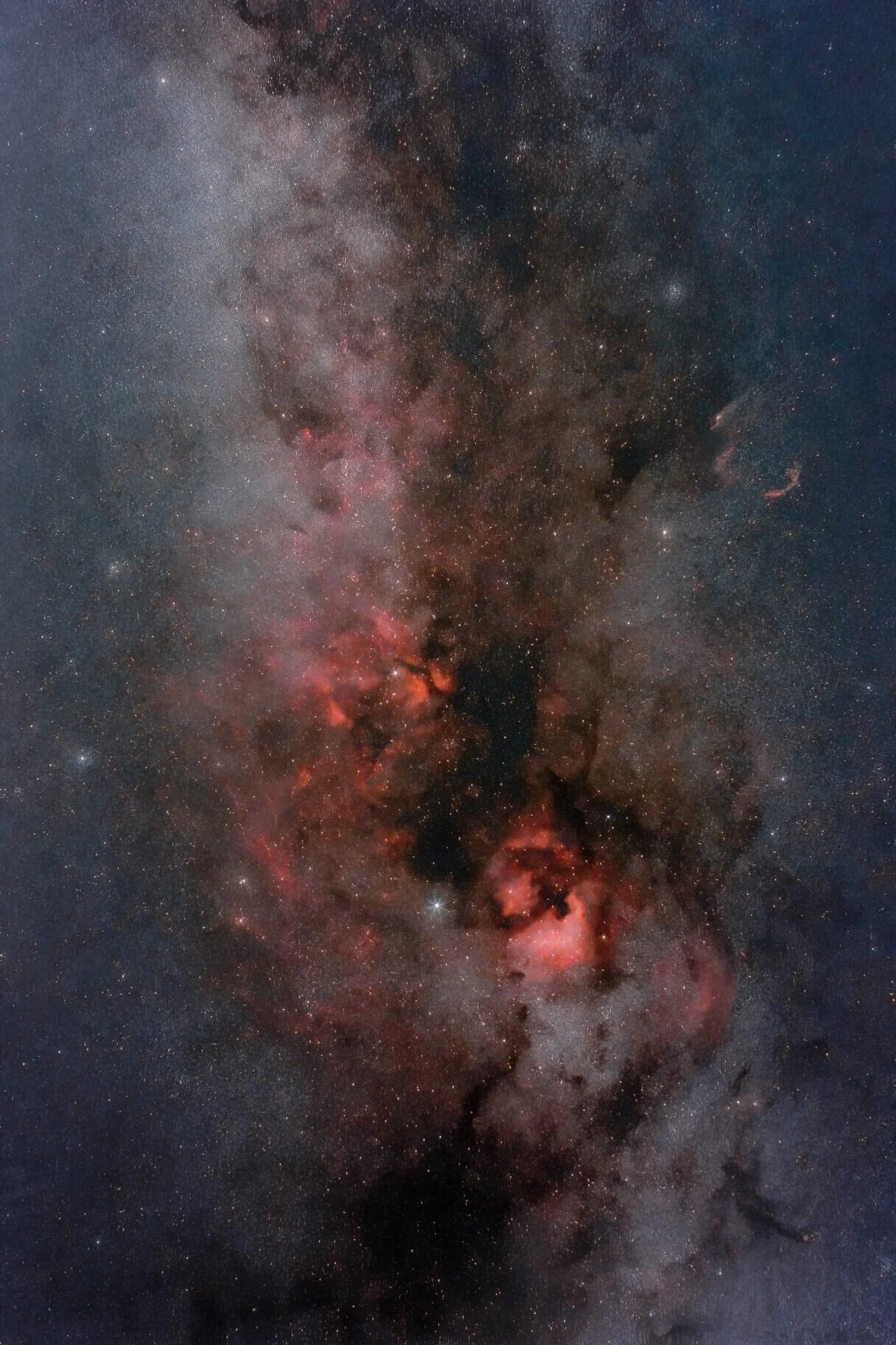 The Cygnus Region