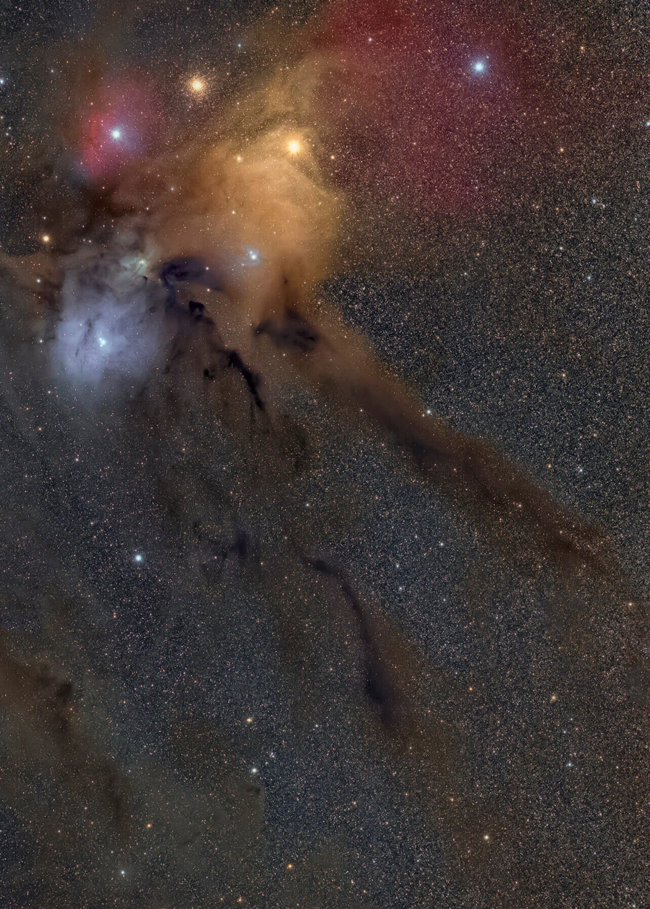 Rho - Ophiuchus Constellation