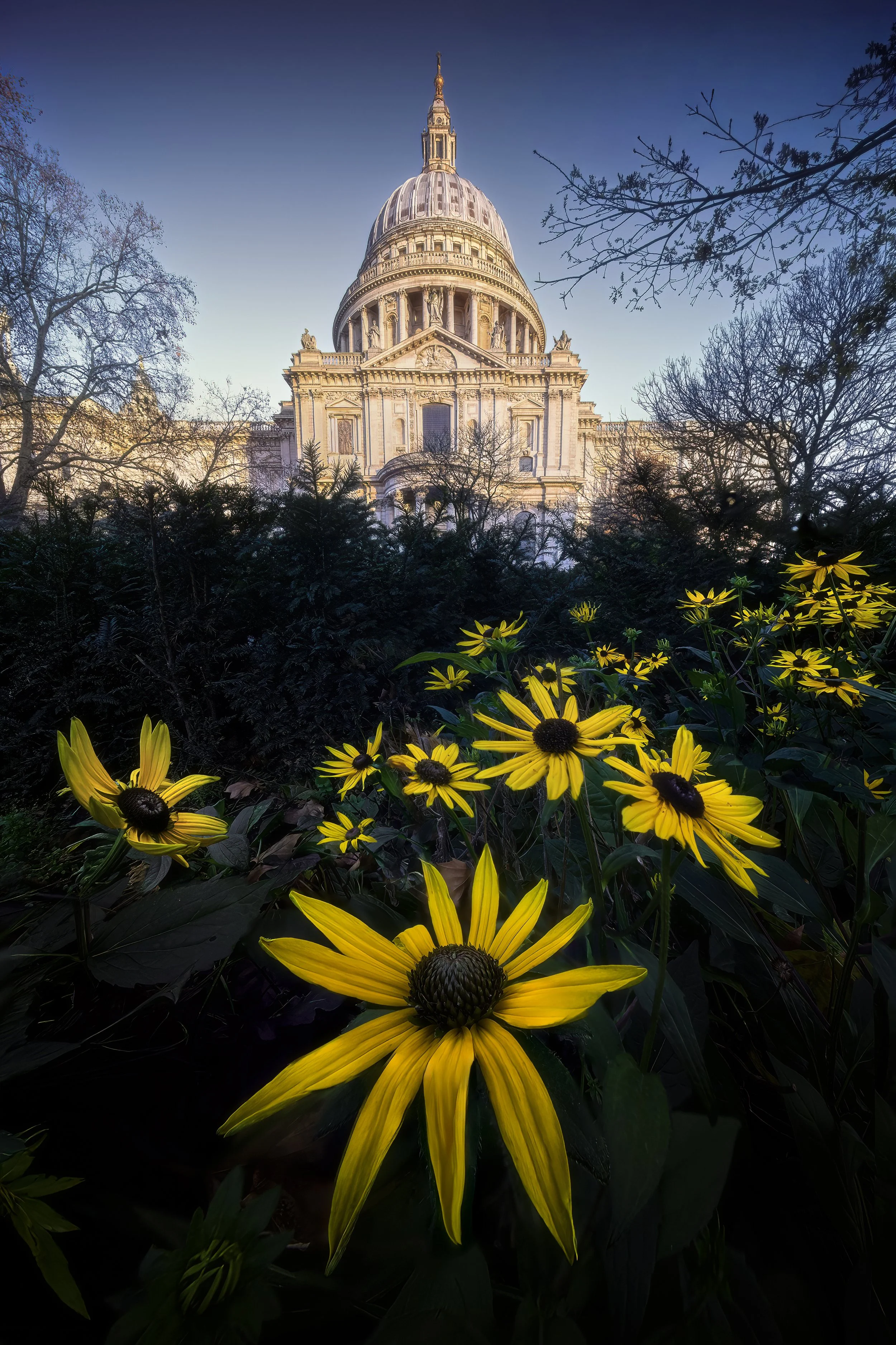 Flowers At St Pauls Cathedral web .jpg
