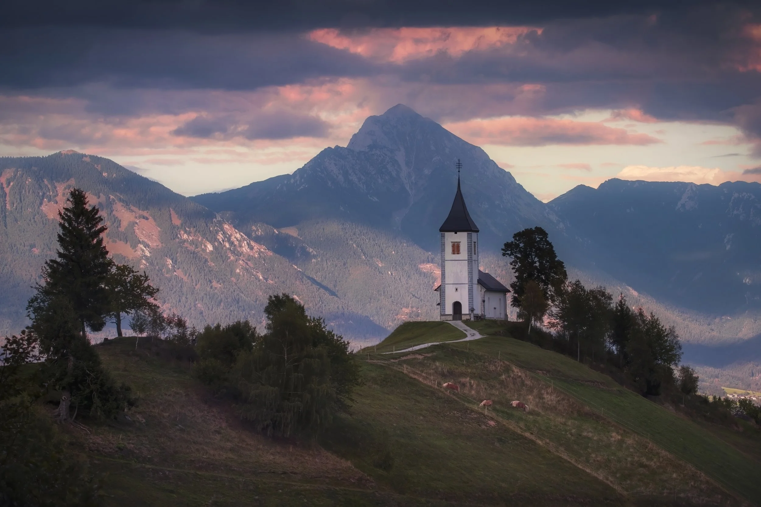 The Church of st.primoz and felicijan web.jpg