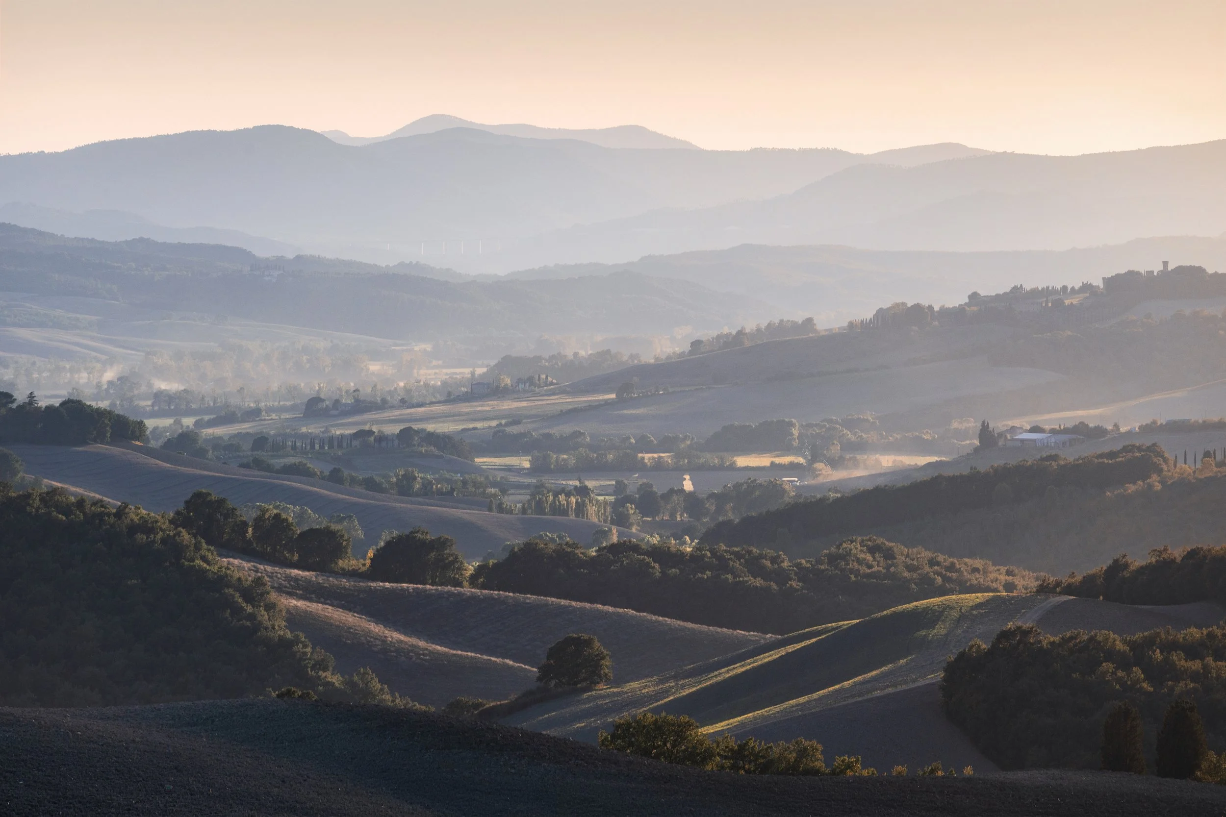 Fields Of Gold web.jpg