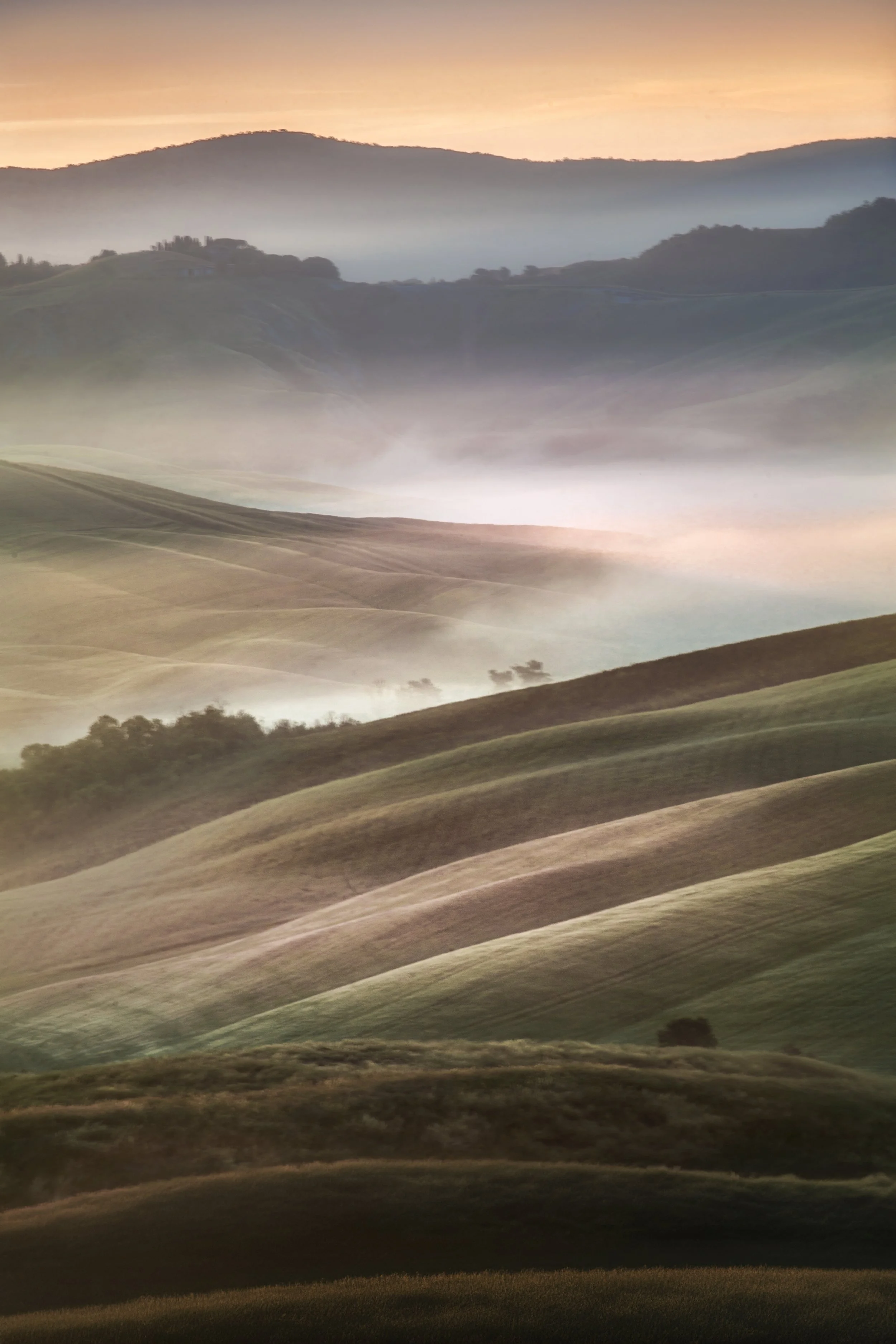 Shading Light web.jpg