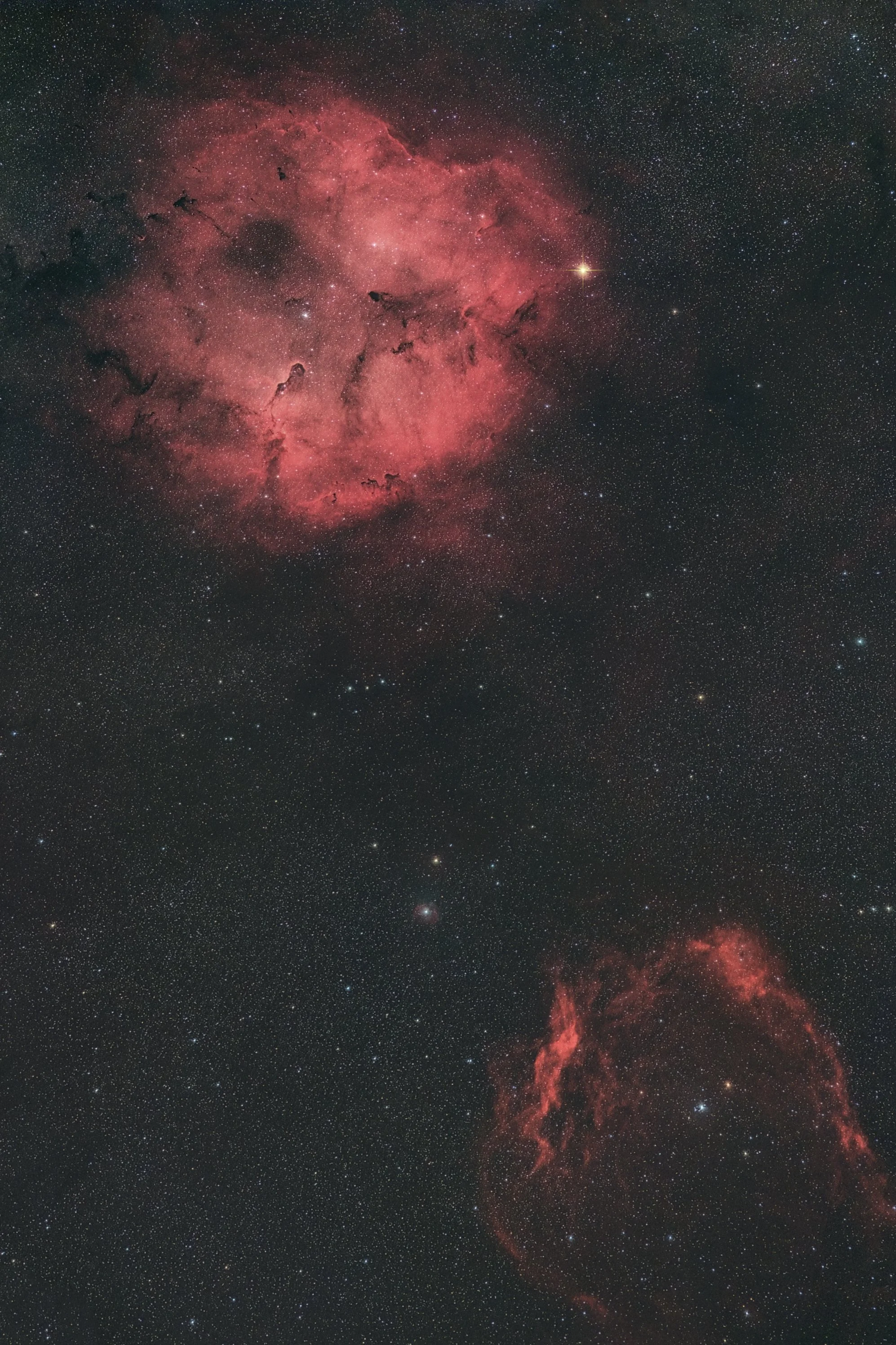 Elephants Trunk Nebula 